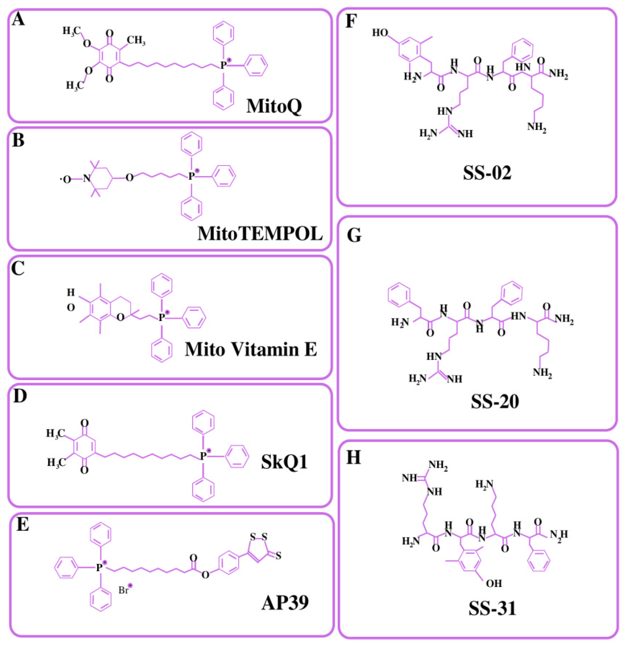 Pharmaceutics 14 02657 g003 Pharmaceutics 14 02657 g003