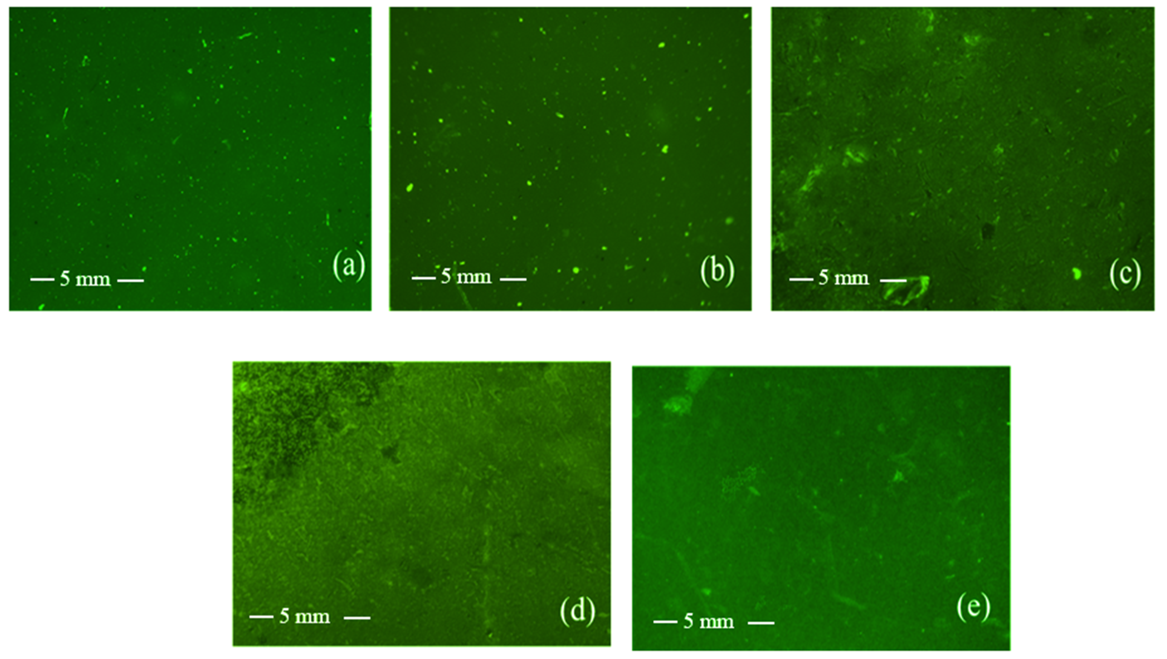 Pharmaceutics 14 02671 g009 Pharmaceutics 14 02671 g009