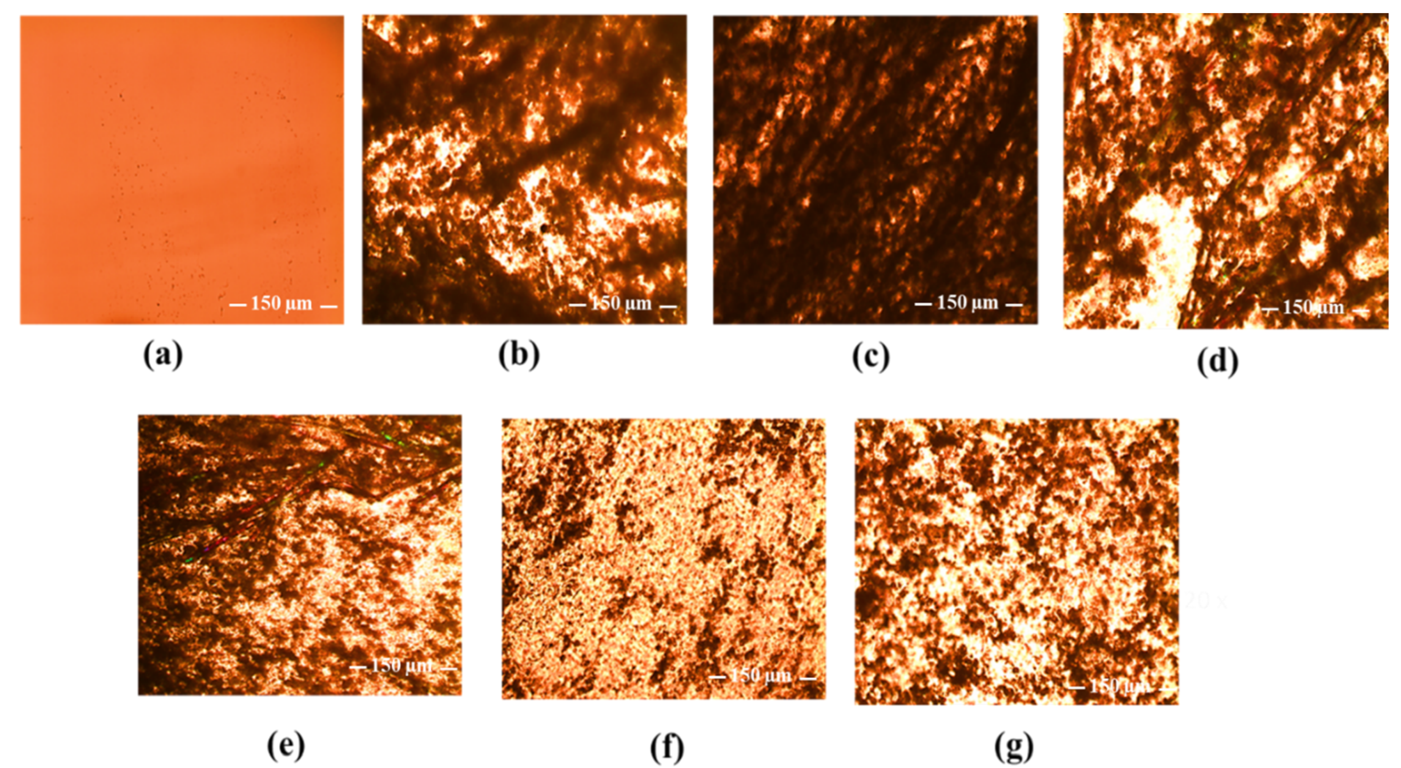 Pharmaceutics 14 02671 g012 Pharmaceutics 14 02671 g012