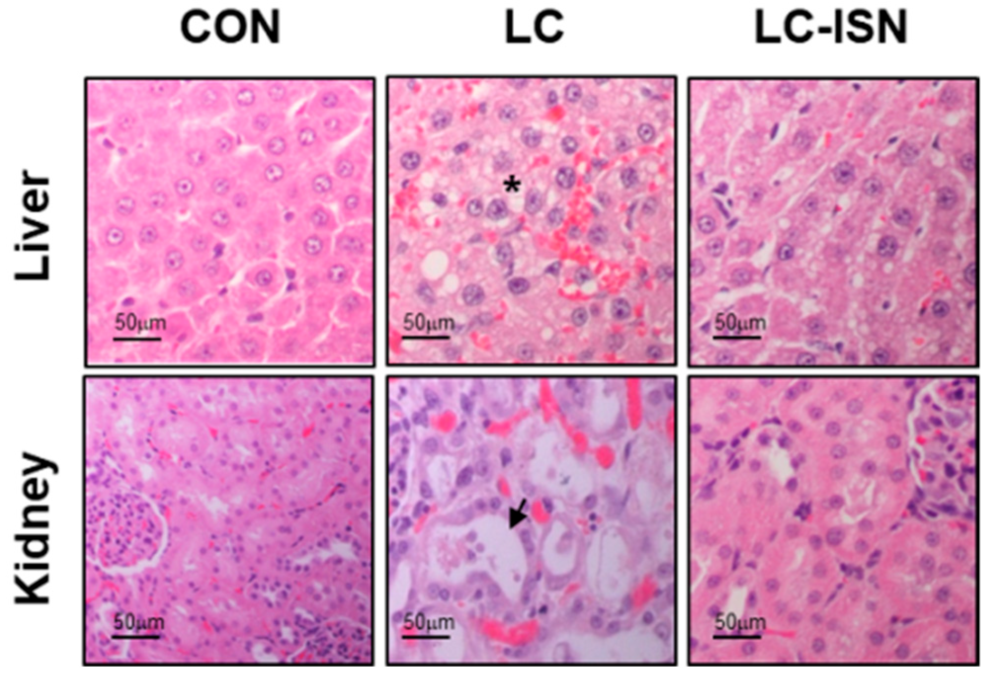 Pharmaceutics 14 02684 g002