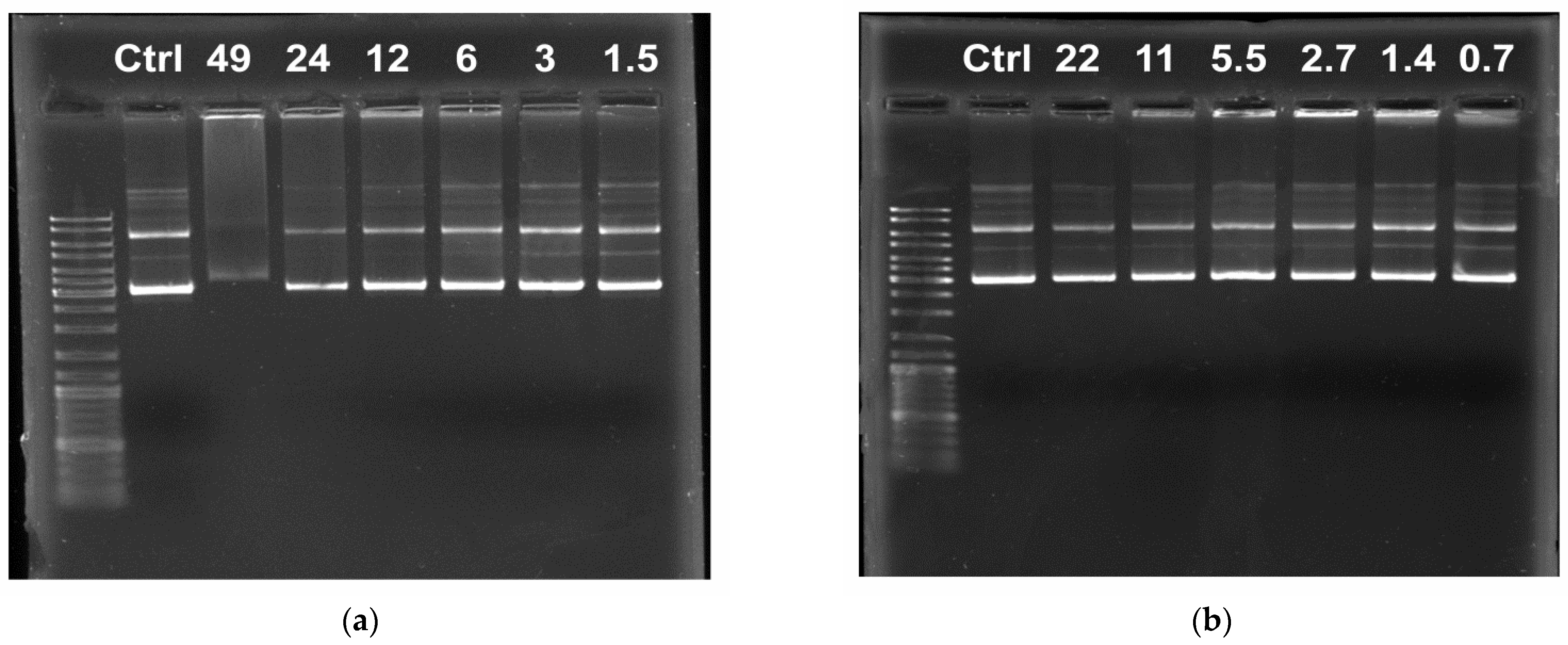 Pharmaceutics 14 02685 g005