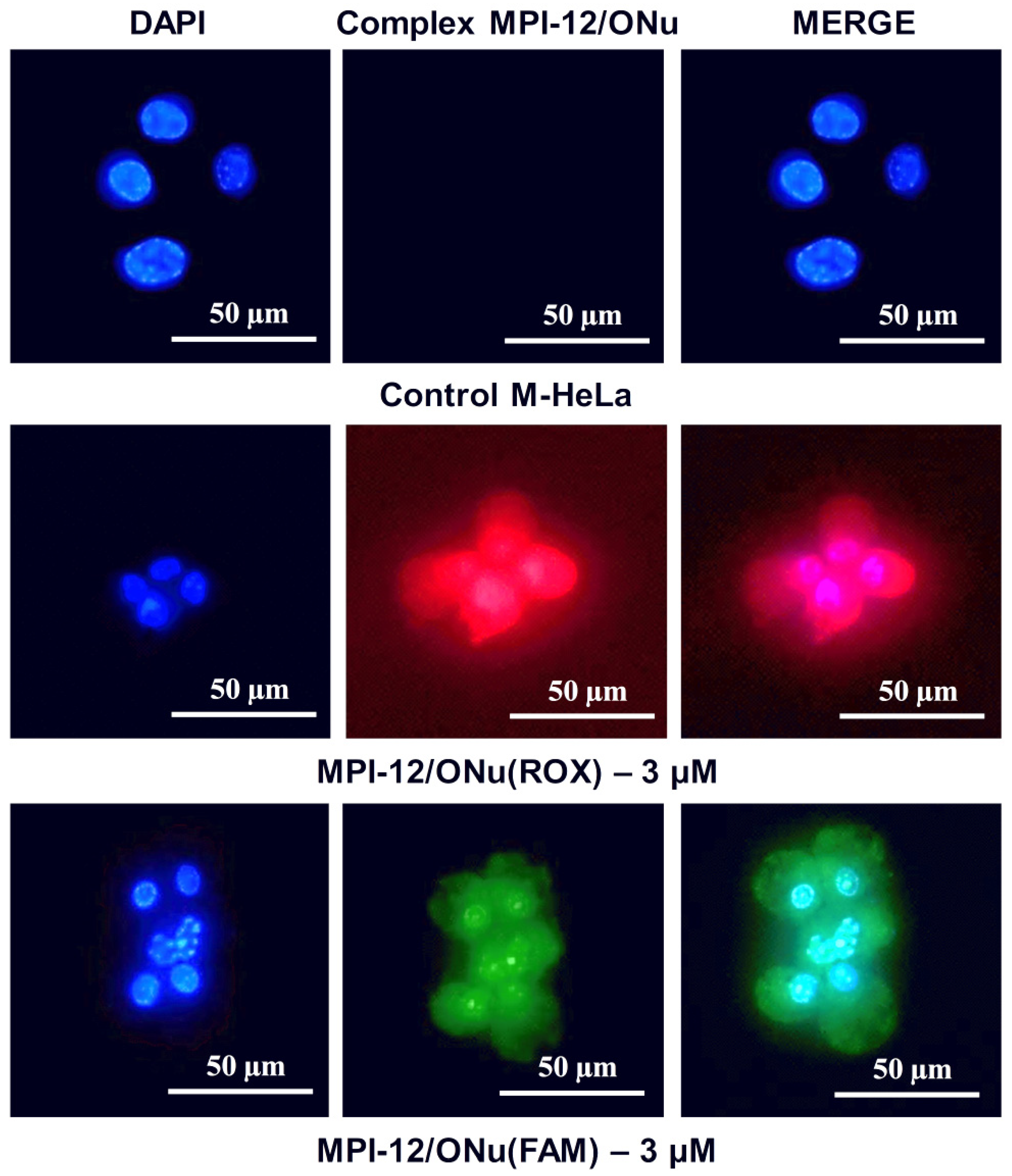 Pharmaceutics 14 02685 g012