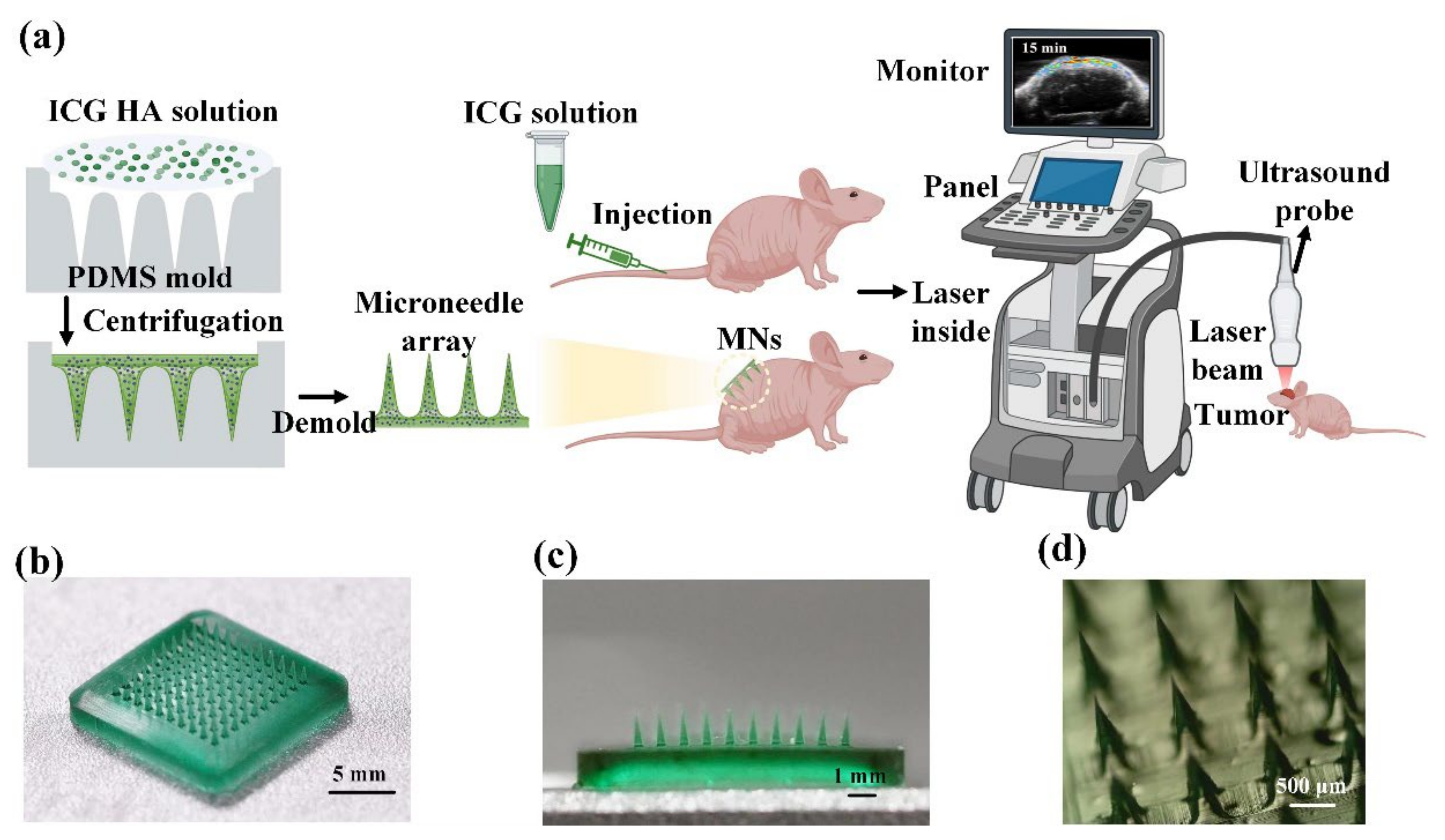 Wavefront shaping: A versatile tool to conquer multiple scattering