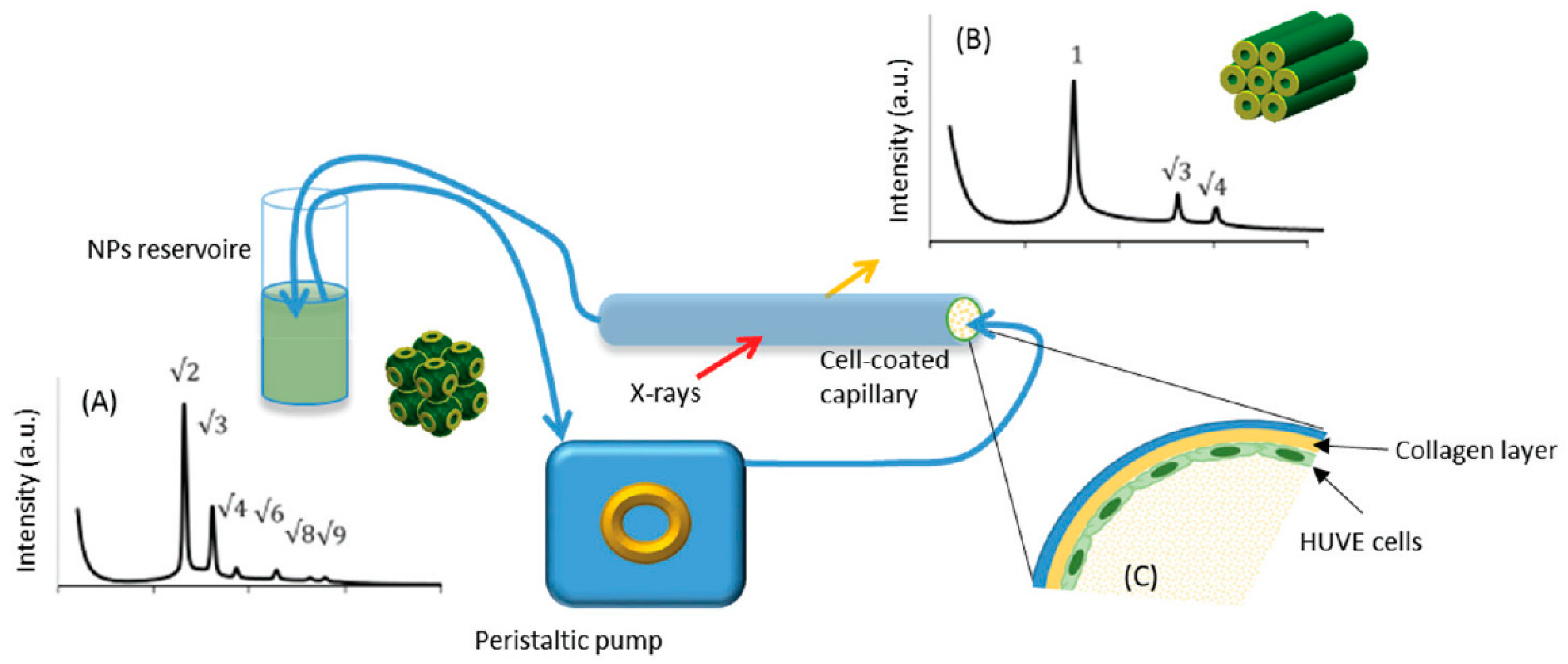 Pharmaceutics 14 02704 g001 Pharmaceutics 14 02704 g001