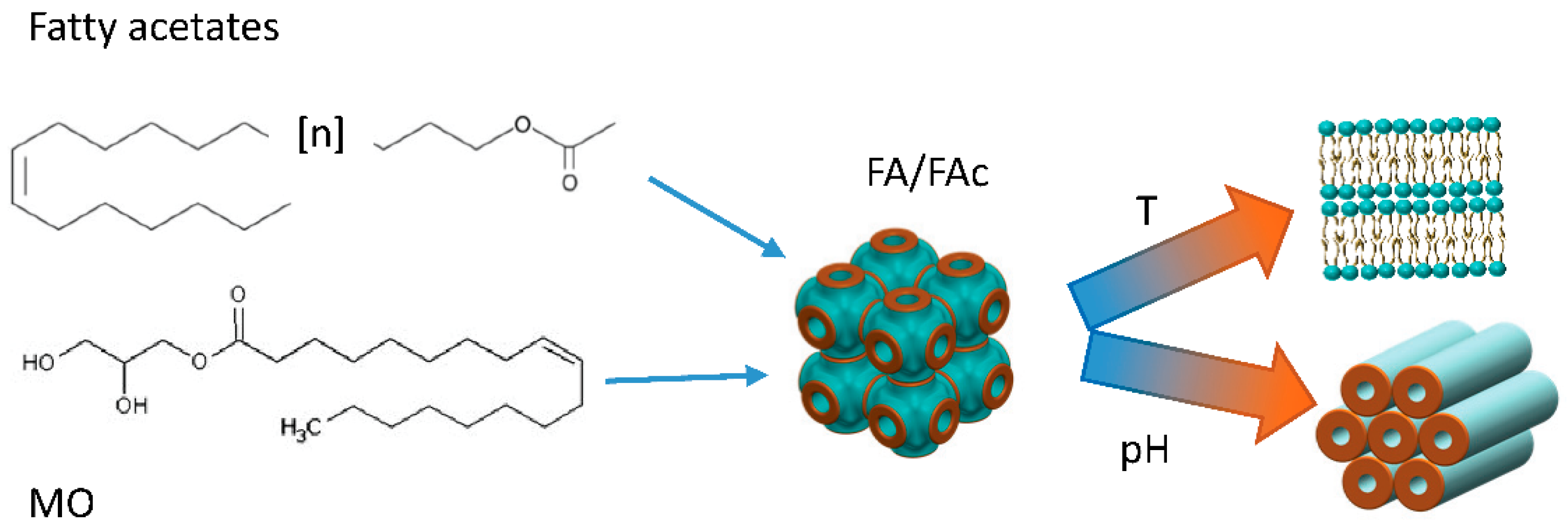 Pharmaceutics 14 02704 g003 Pharmaceutics 14 02704 g003