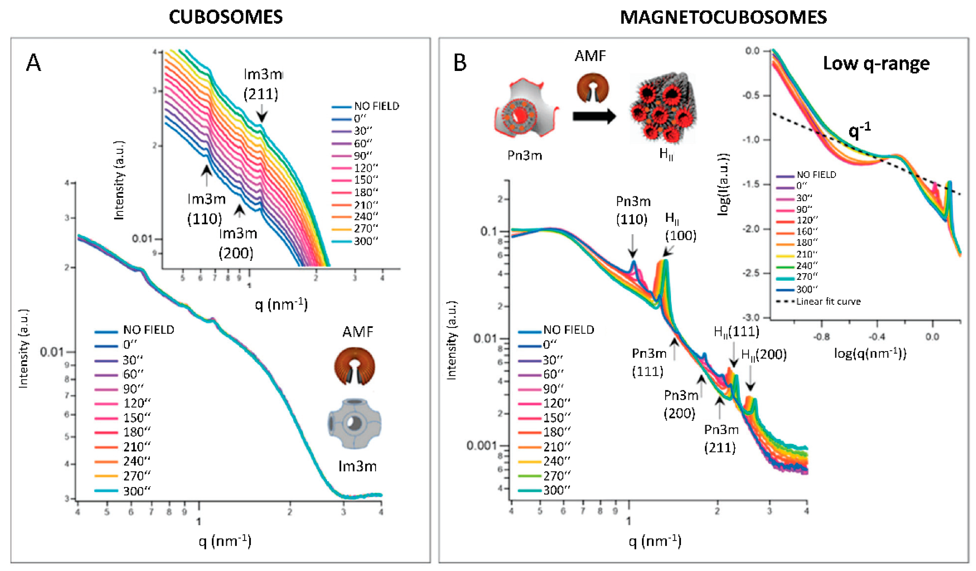 Pharmaceutics 14 02704 g004 Pharmaceutics 14 02704 g004