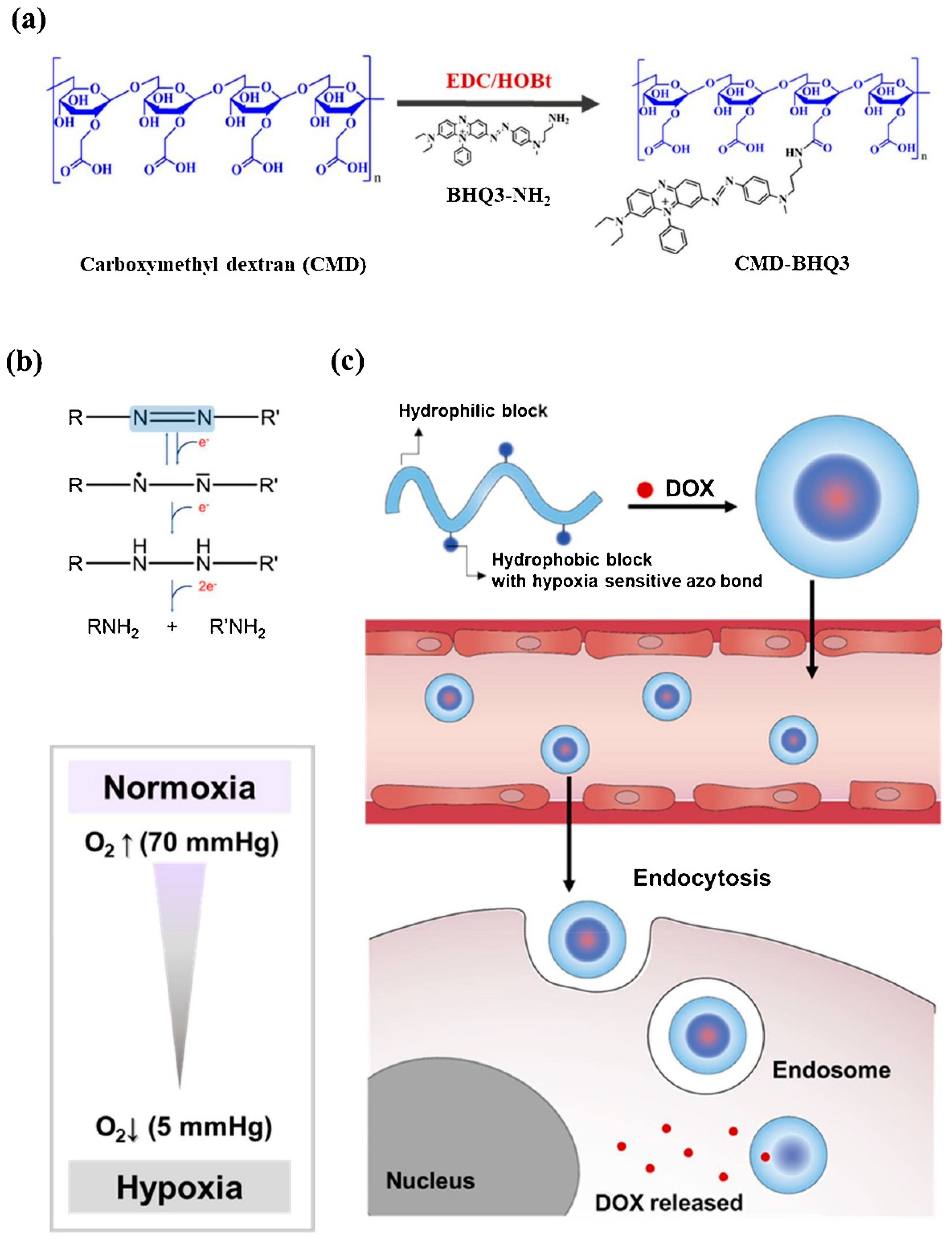 Pharmaceutics 14 02708 g002
