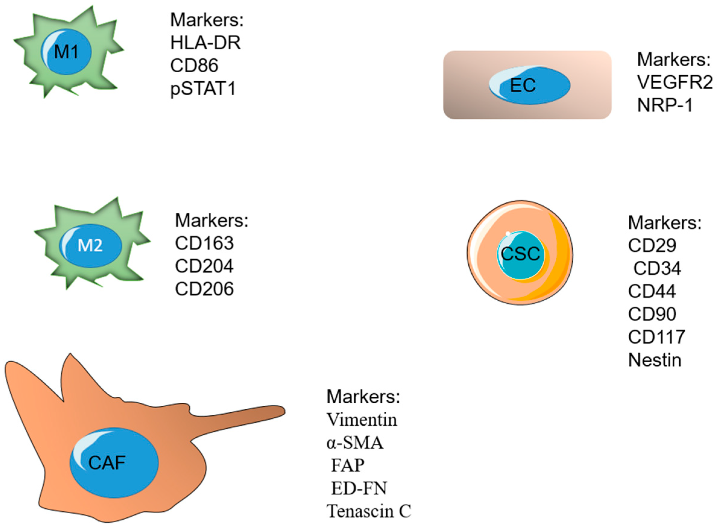 Pharmaceutics 14 02708 g005