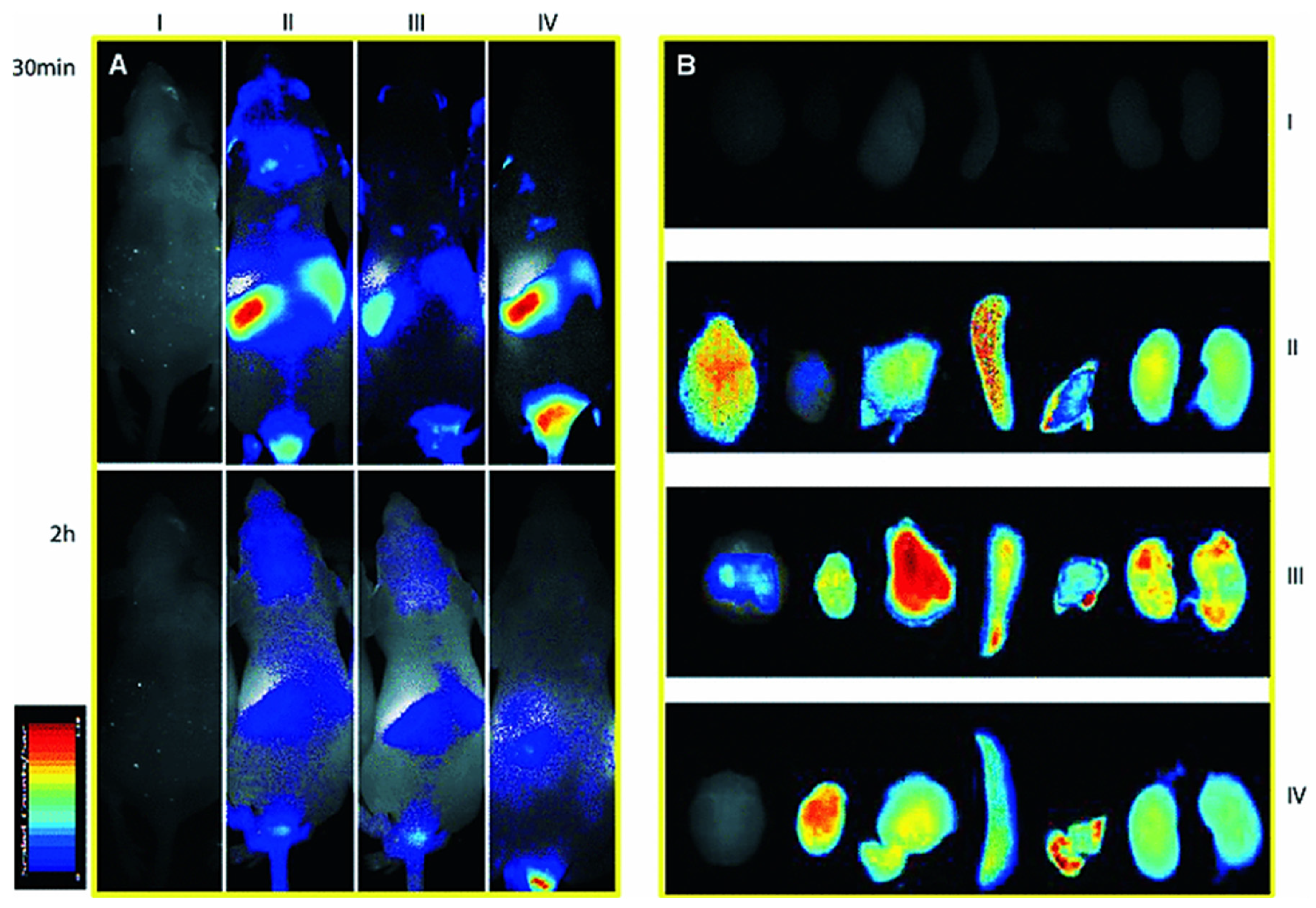 Pharmaceutics 14 02719 g008