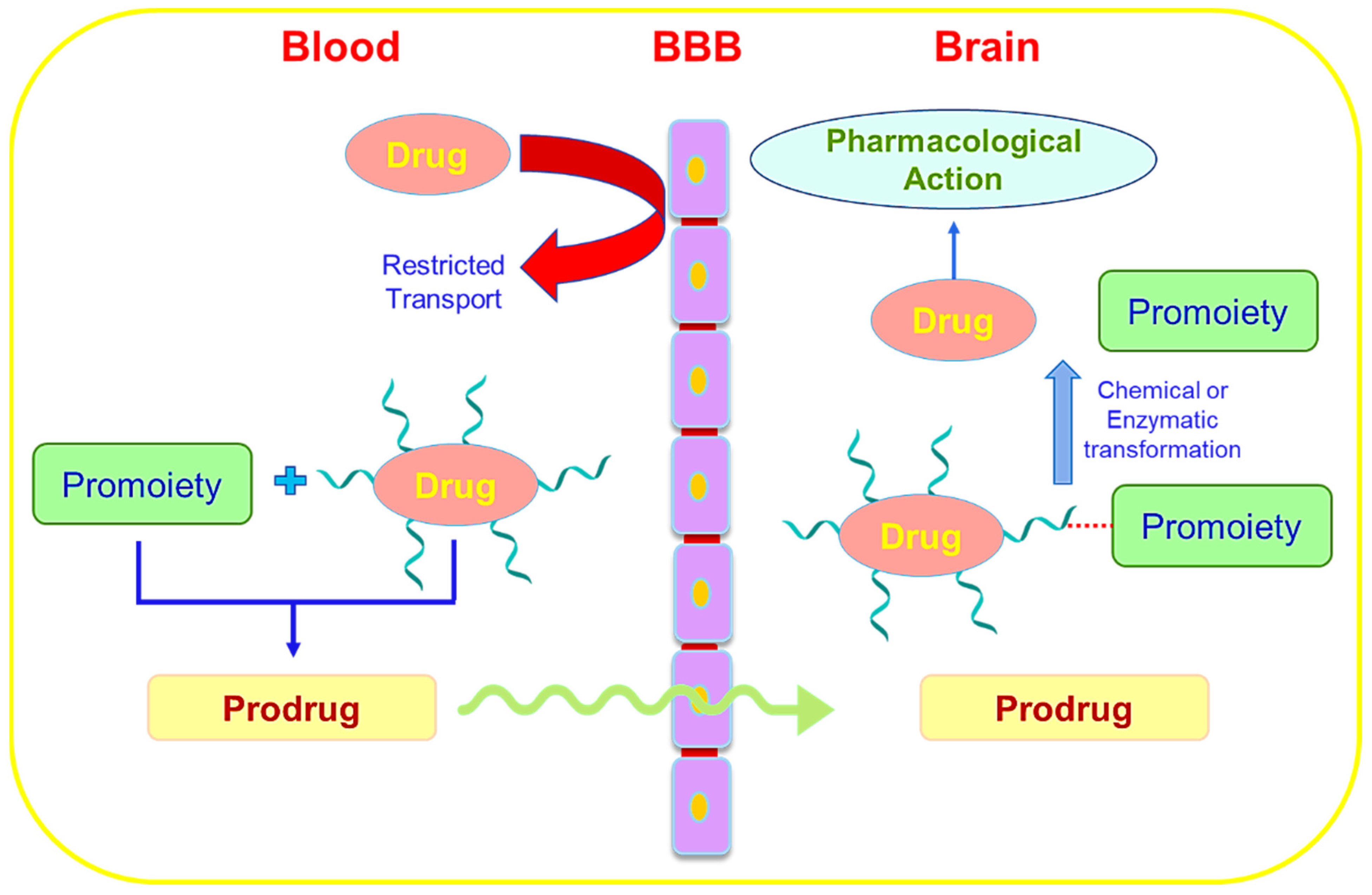 Pharmaceutics 14 02719 g009