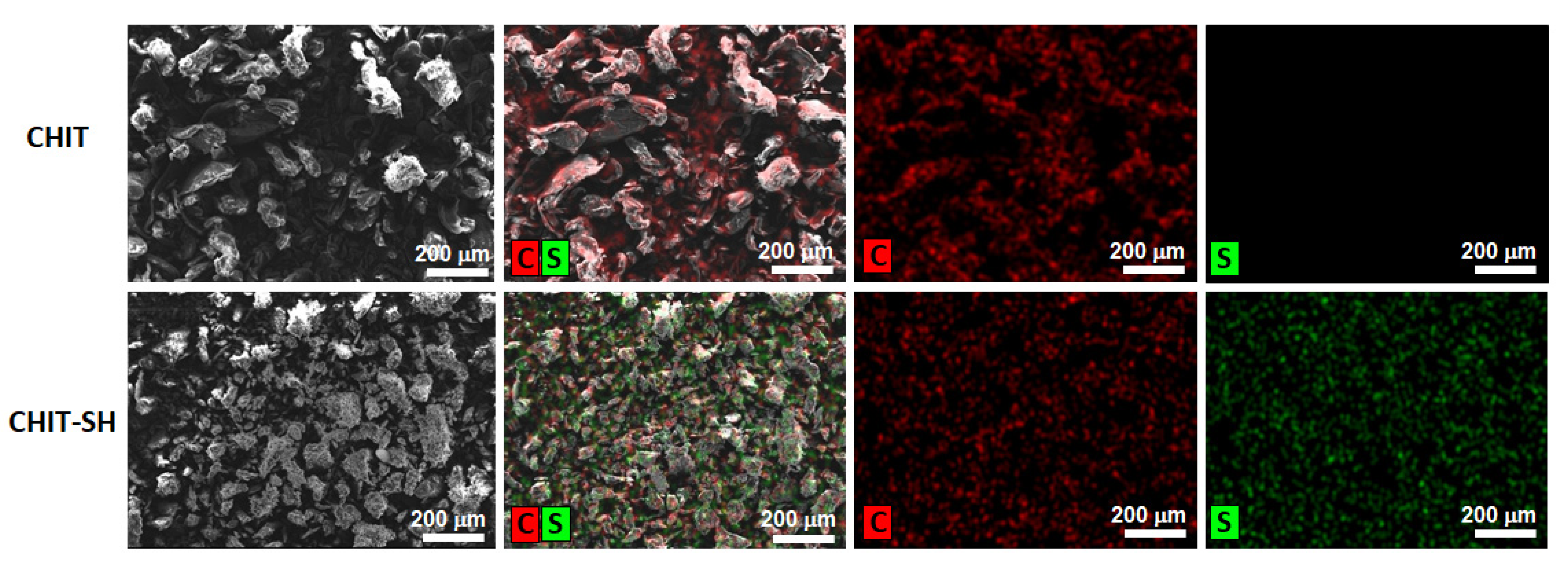 Pharmaceutics 14 02723 g006