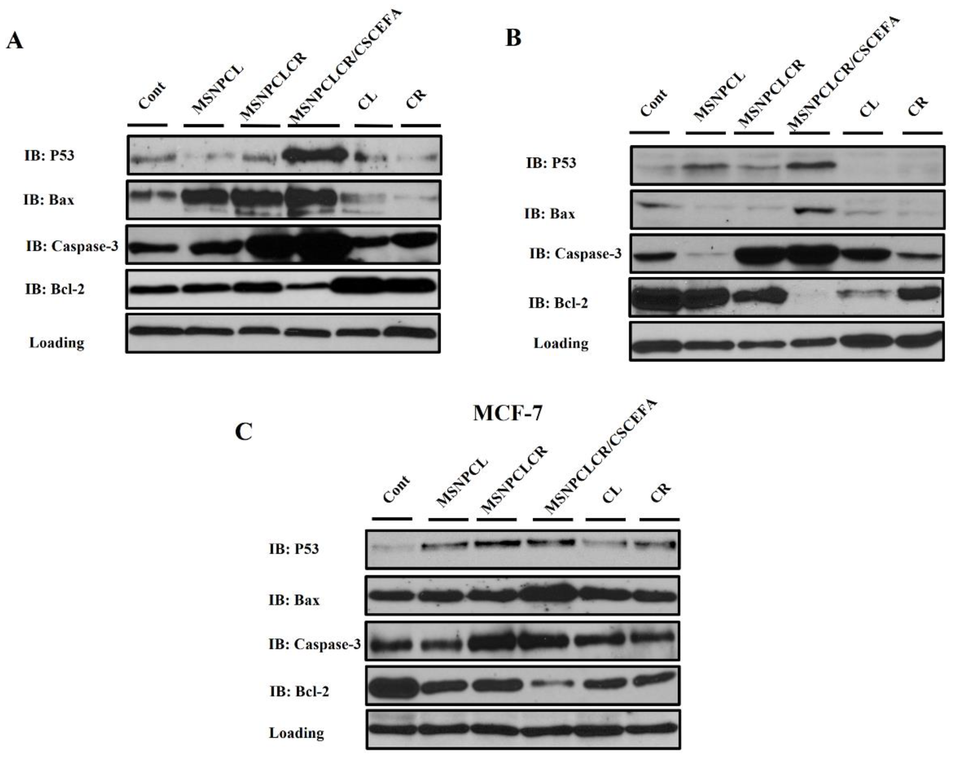 Pharmaceutics 14 02770 g010
