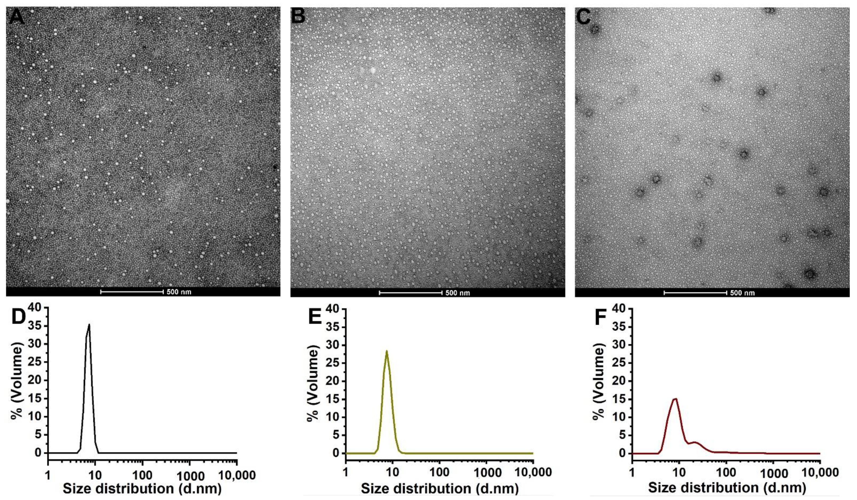 Pharmaceutics 14 02775 g001 Pharmaceutics 14 02775 g001
