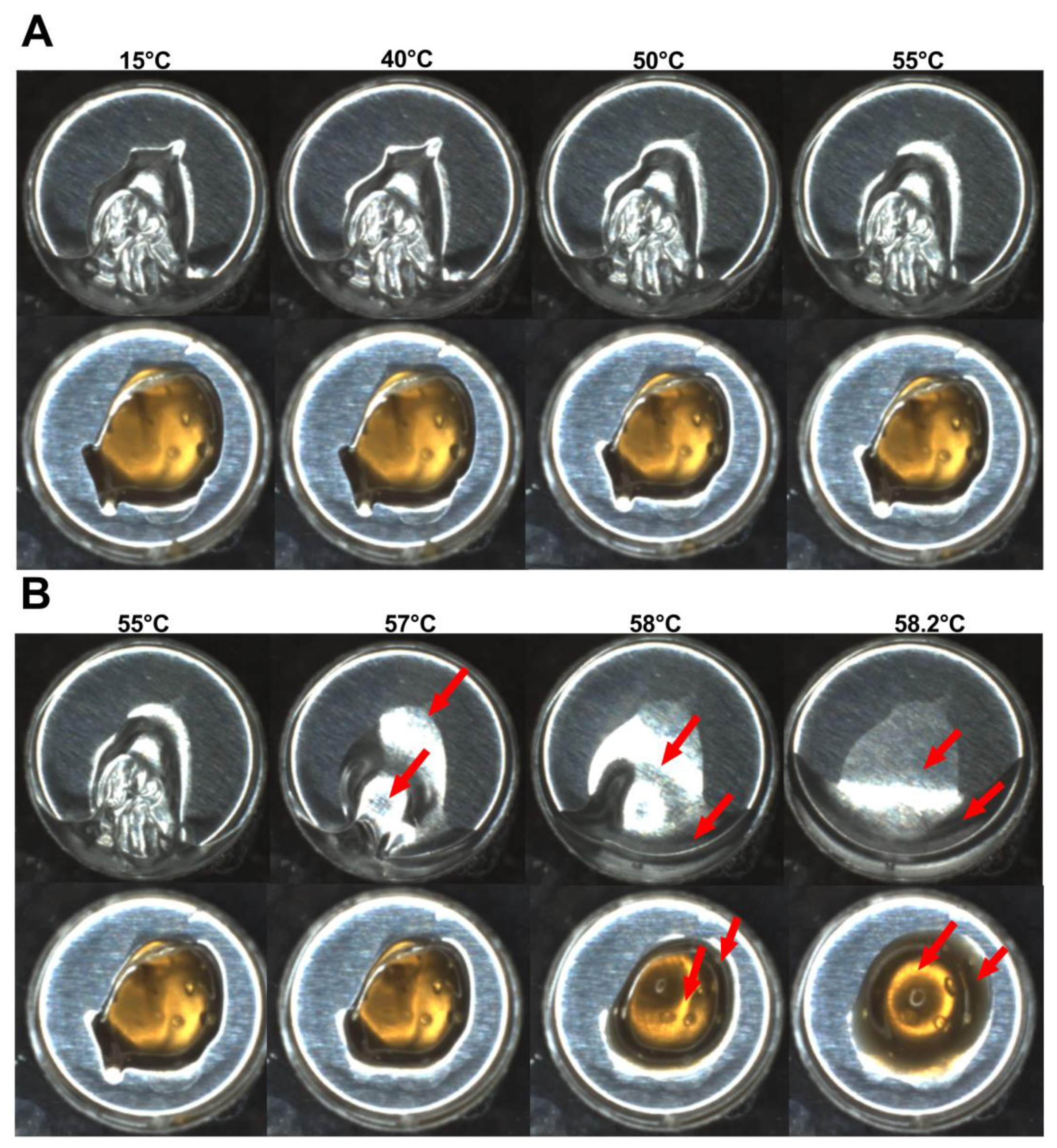 Pharmaceutics 14 02775 g004 Pharmaceutics 14 02775 g004