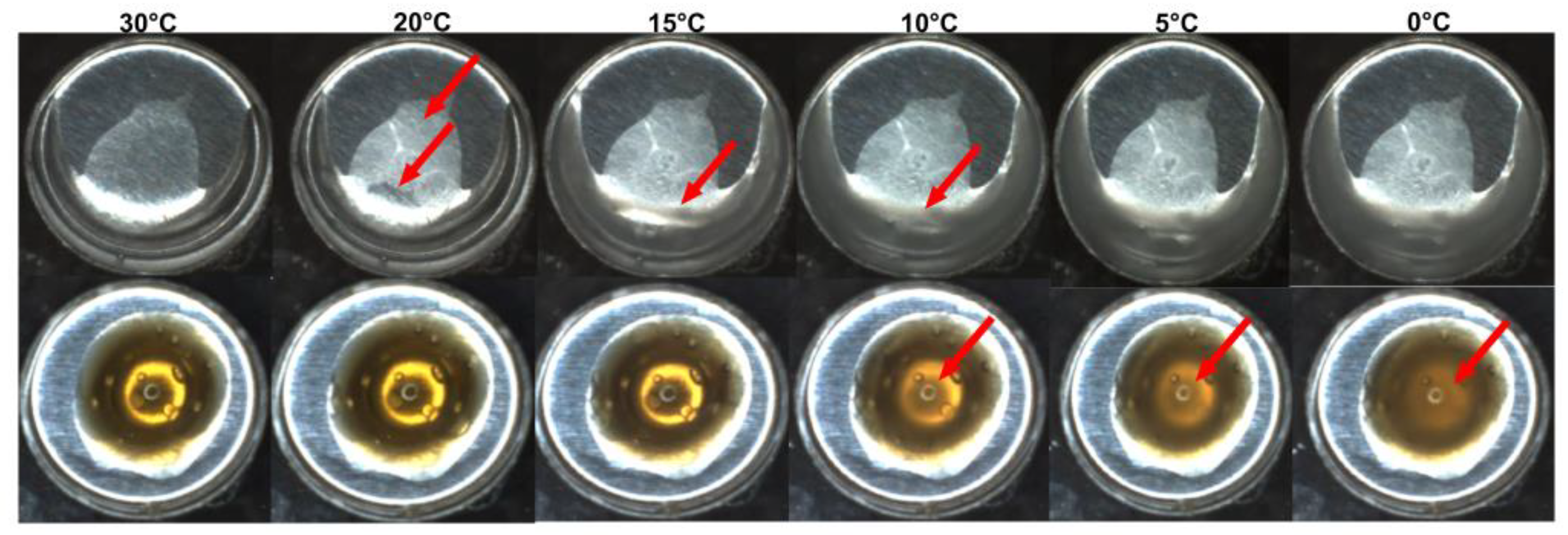 Pharmaceutics 14 02775 g006 Pharmaceutics 14 02775 g006