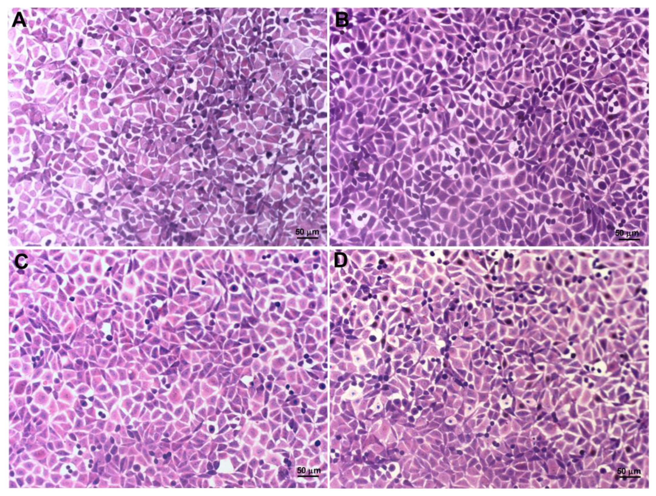 Pharmaceutics 14 02775 g010 Pharmaceutics 14 02775 g010