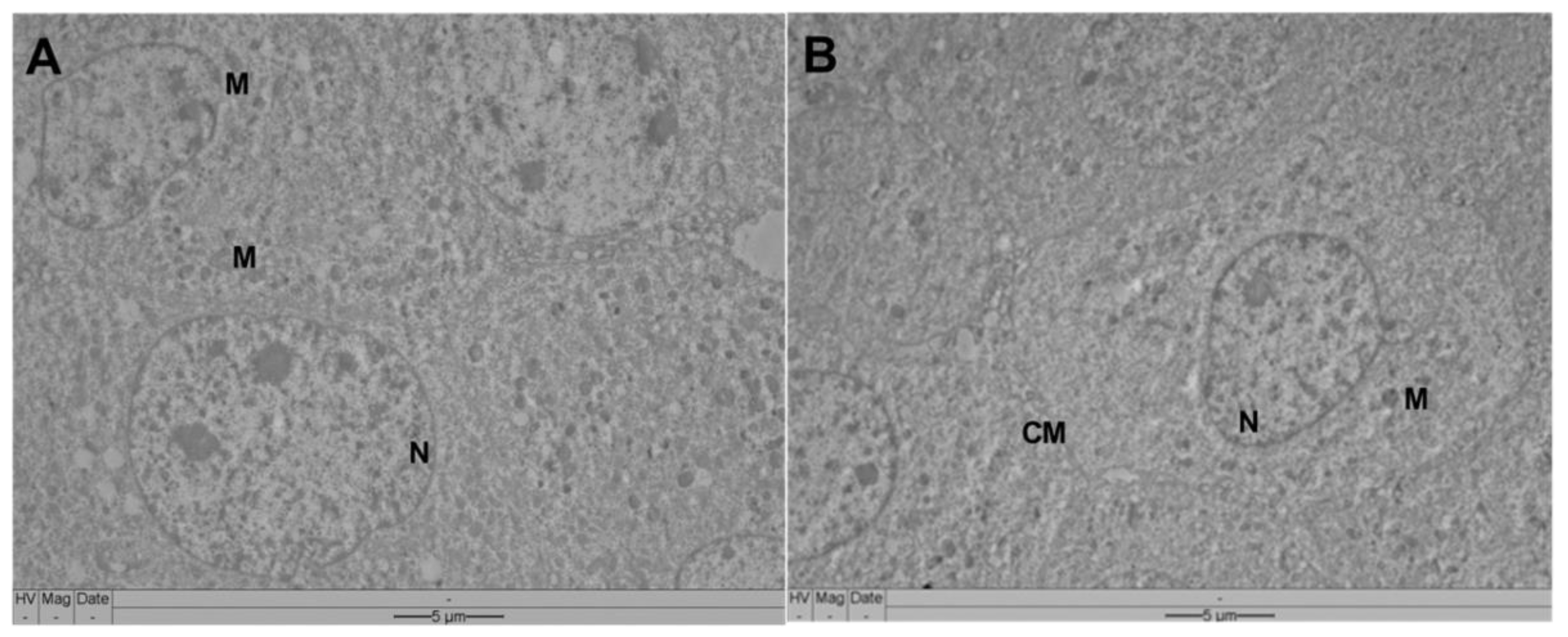 Pharmaceutics 14 02775 g011 Pharmaceutics 14 02775 g011