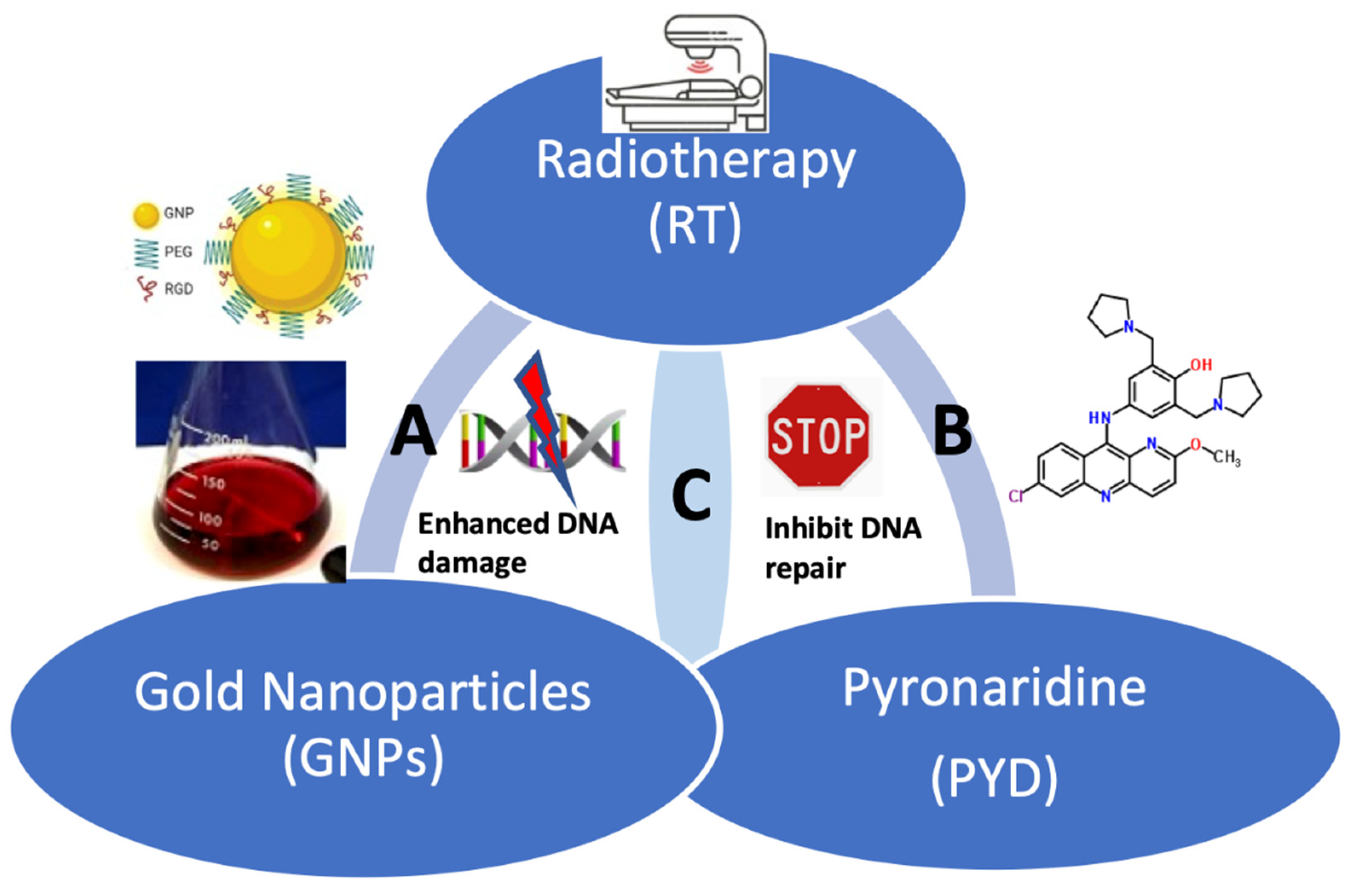 Pharmaceutics 14 02795 g001