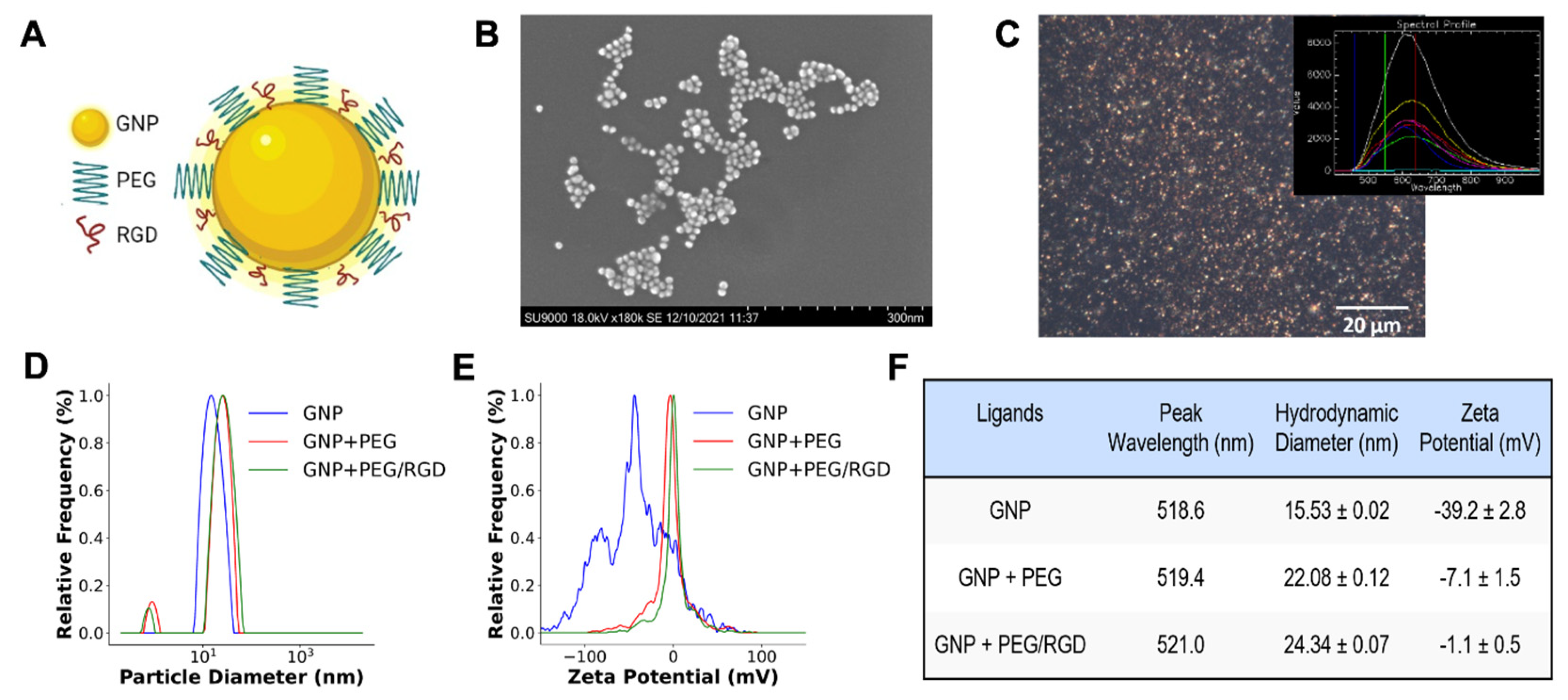 Pharmaceutics 14 02795 g002