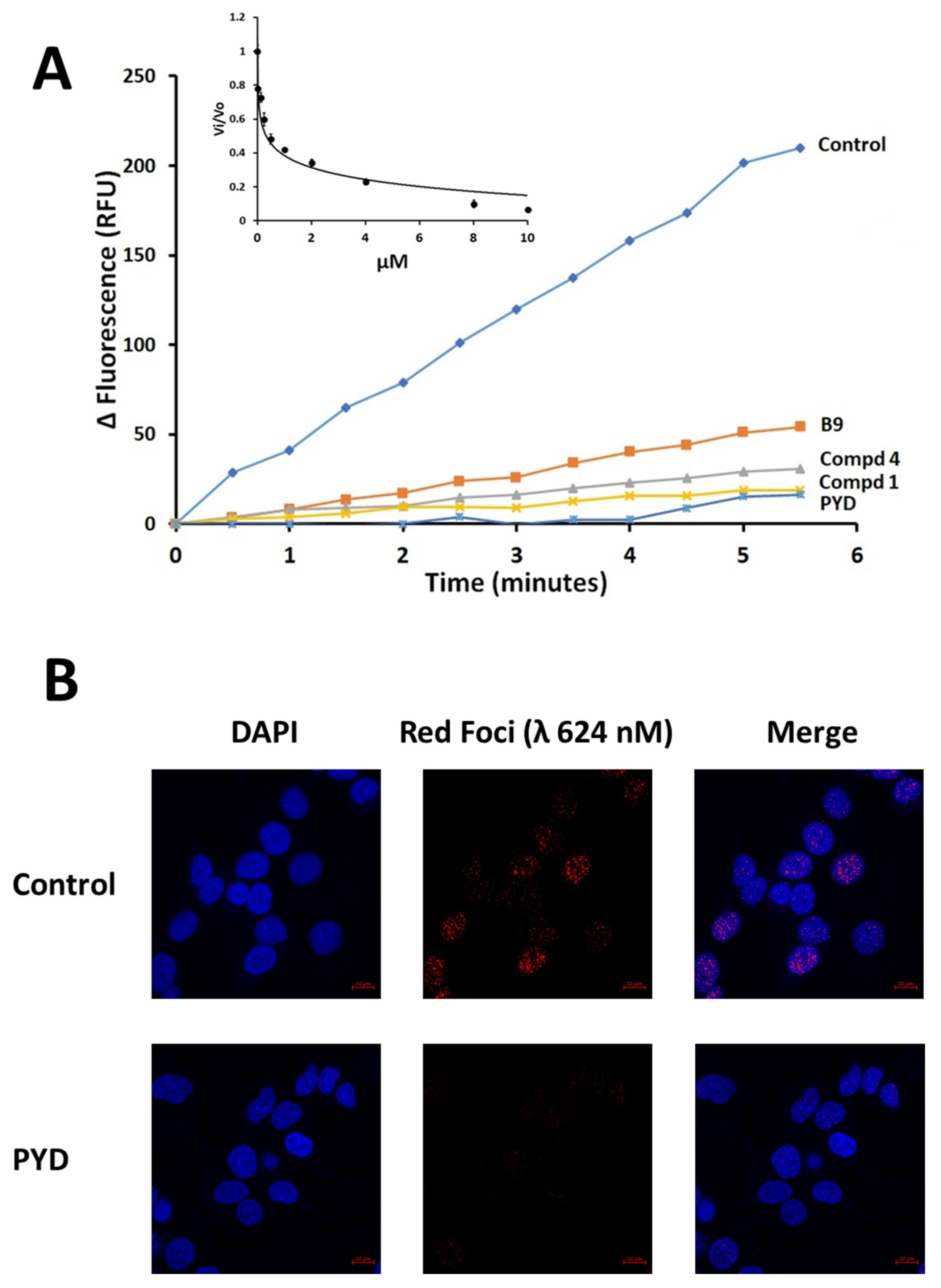 Pharmaceutics 14 02795 g003