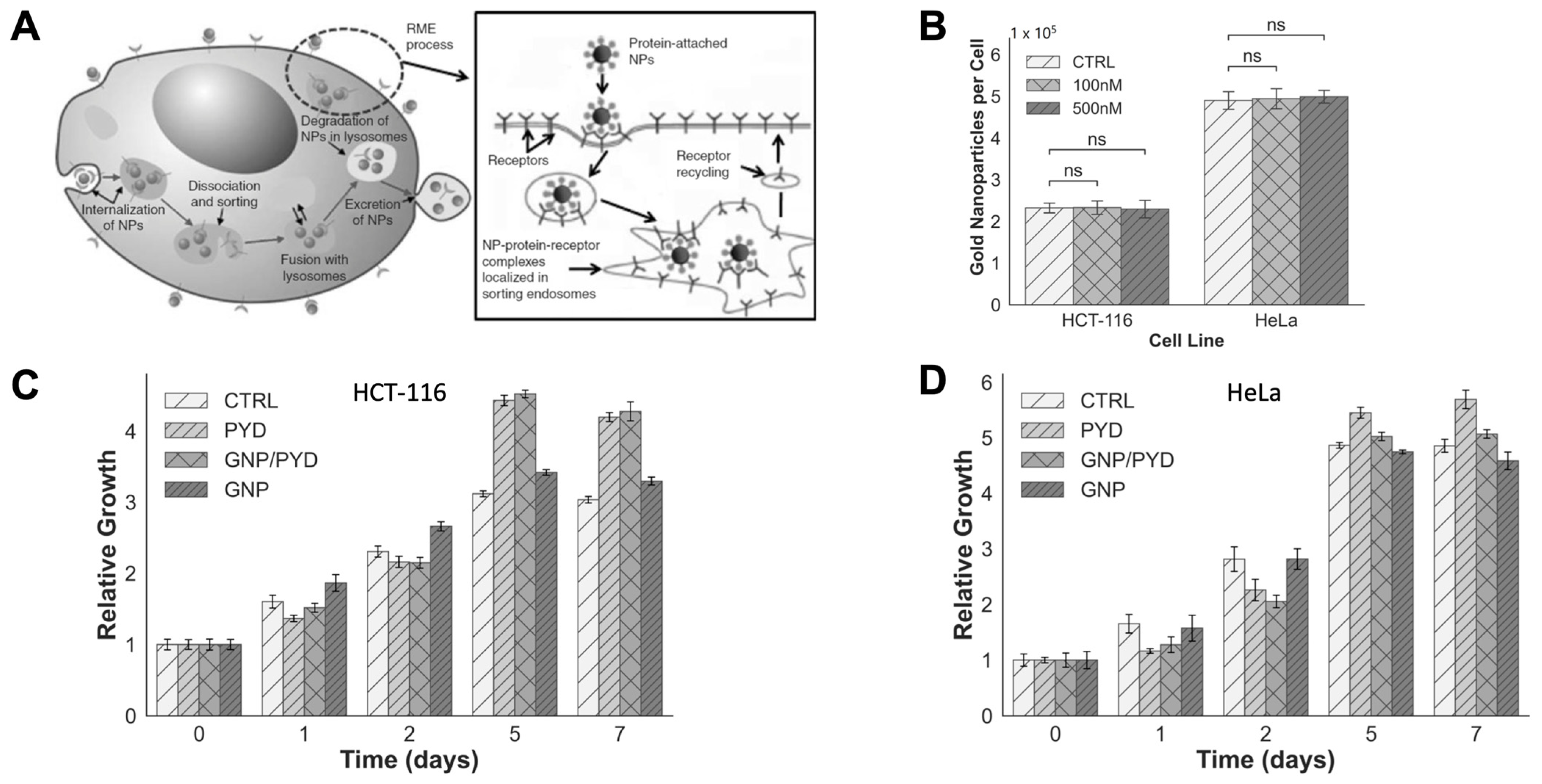 Pharmaceutics 14 02795 g004