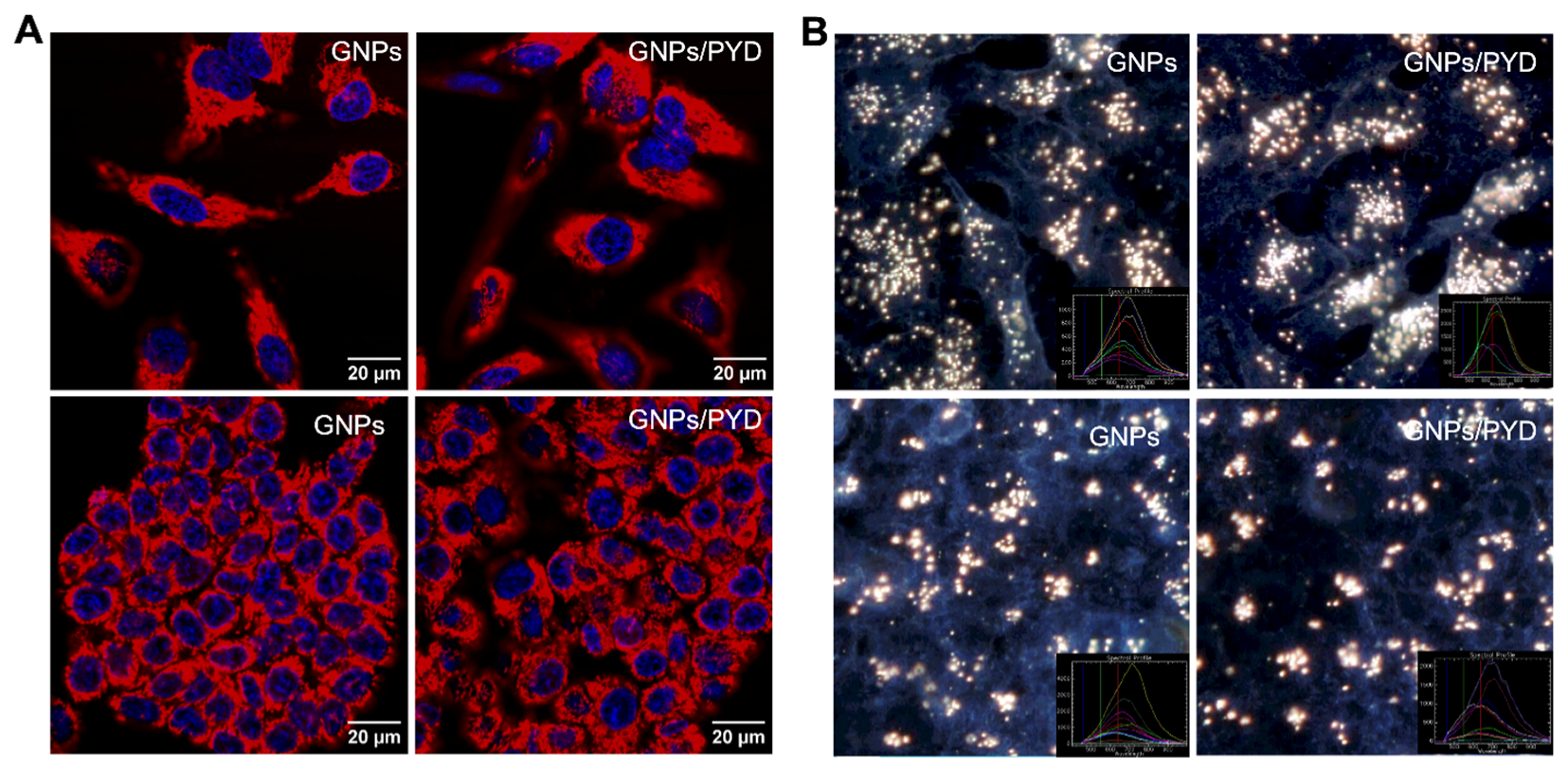 Pharmaceutics 14 02795 g005
