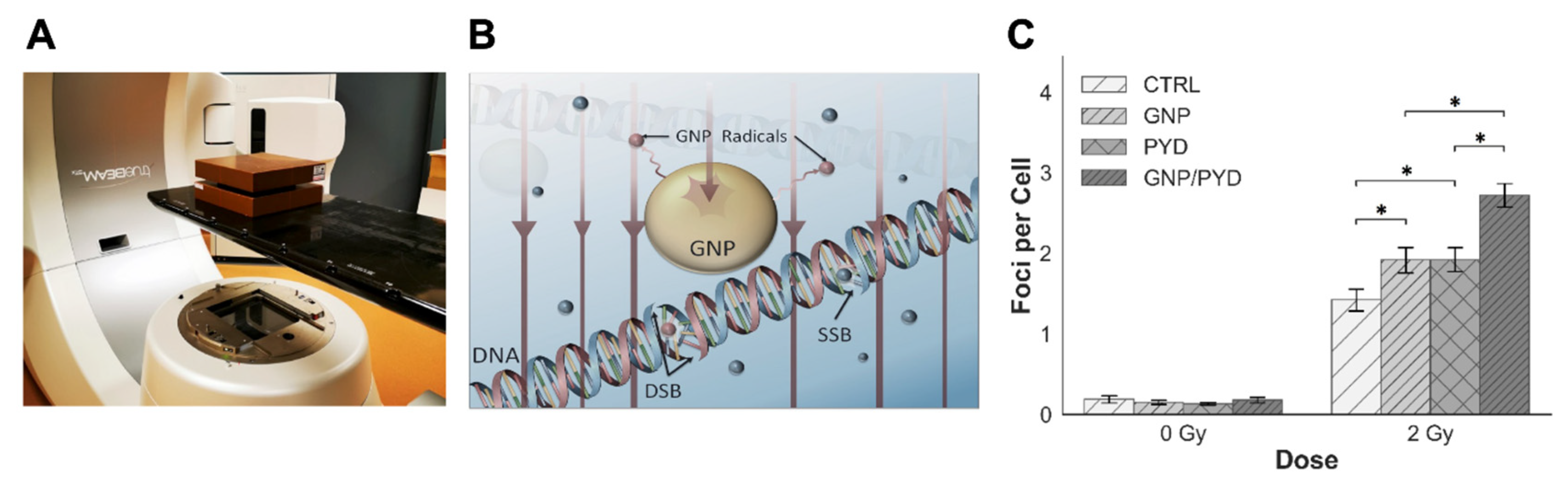 Pharmaceutics 14 02795 g006