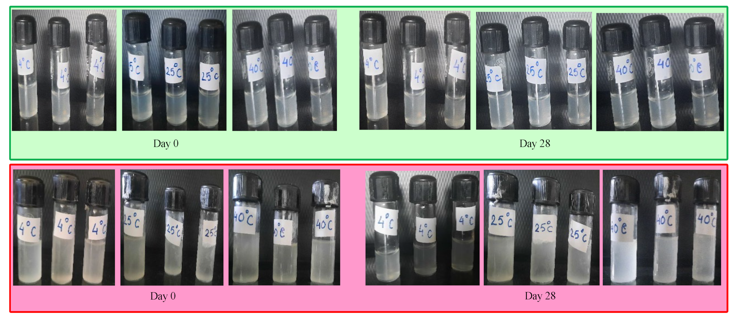 Pharmaceutics 14 02802 g008