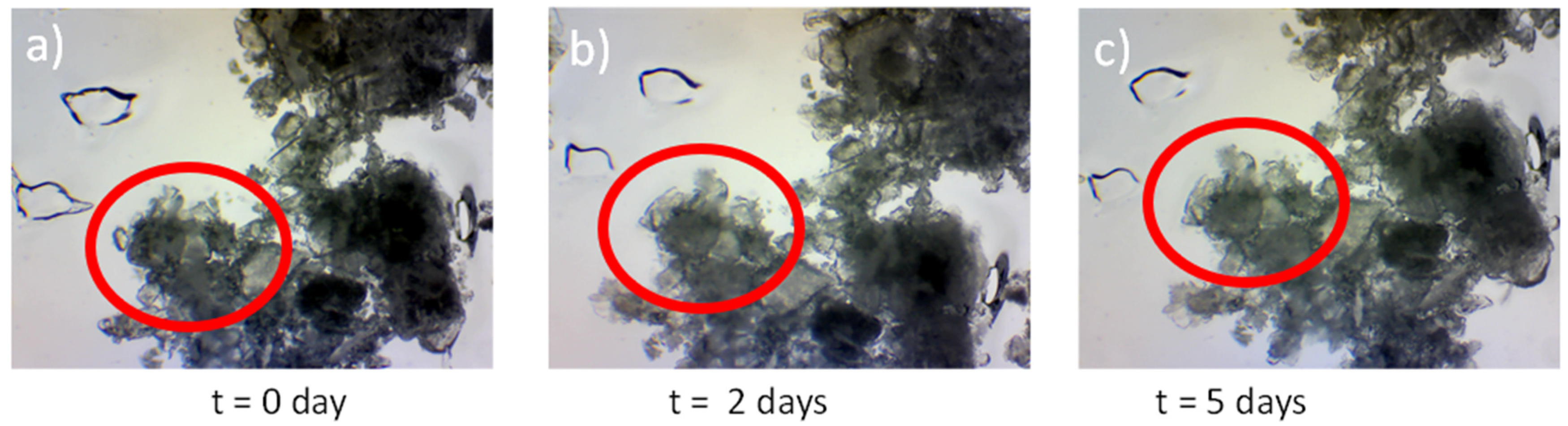 Pharmaceutics 14 02816 g008