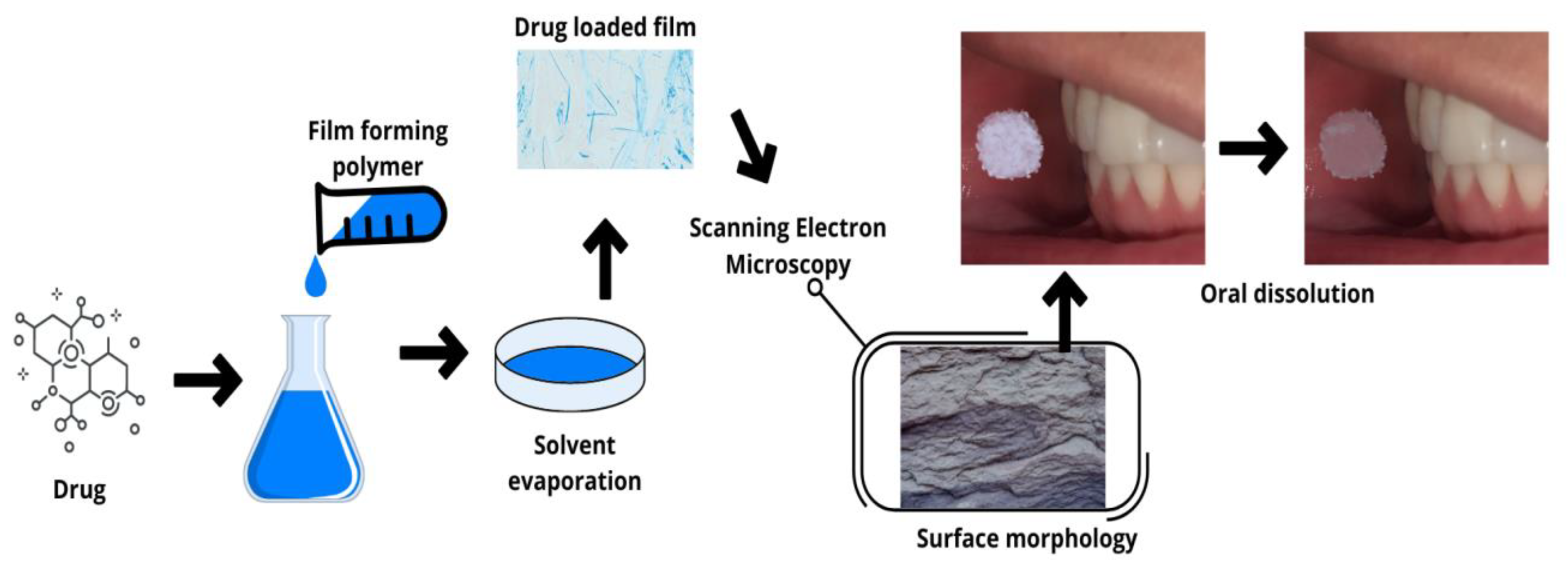 Pharmaceutics 15 00012 g002 Pharmaceutics 15 00012 g002