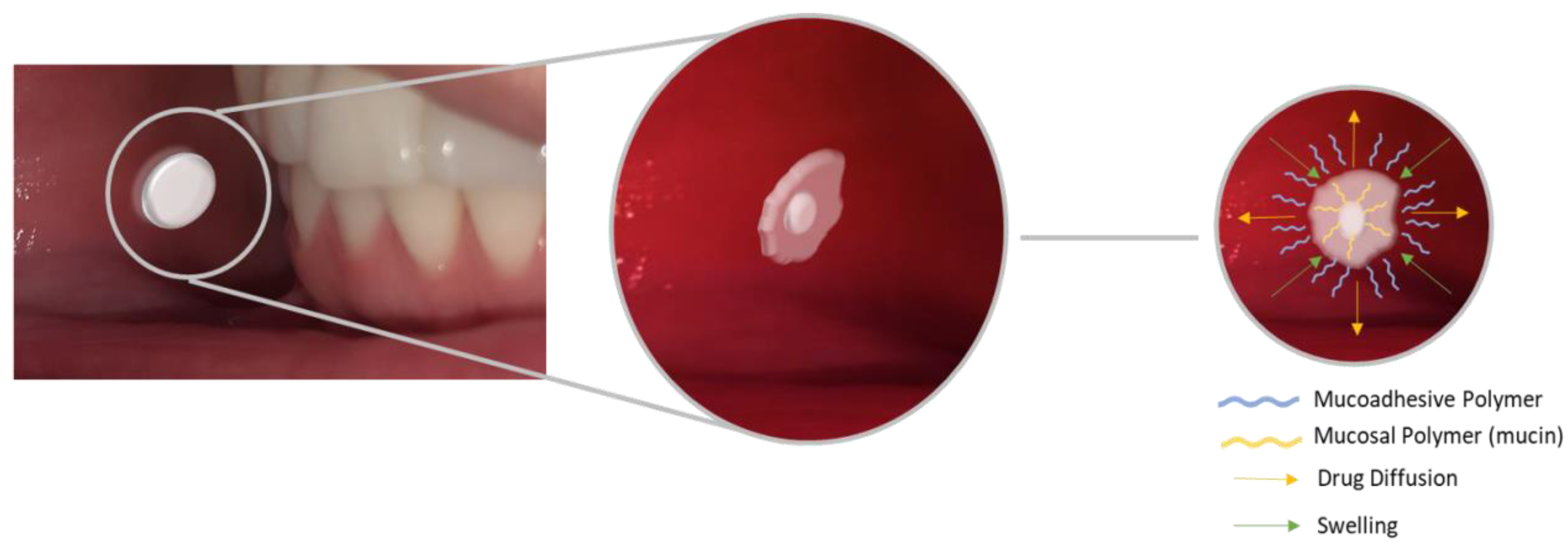 Pharmaceutics 15 00012 g003 Pharmaceutics 15 00012 g003