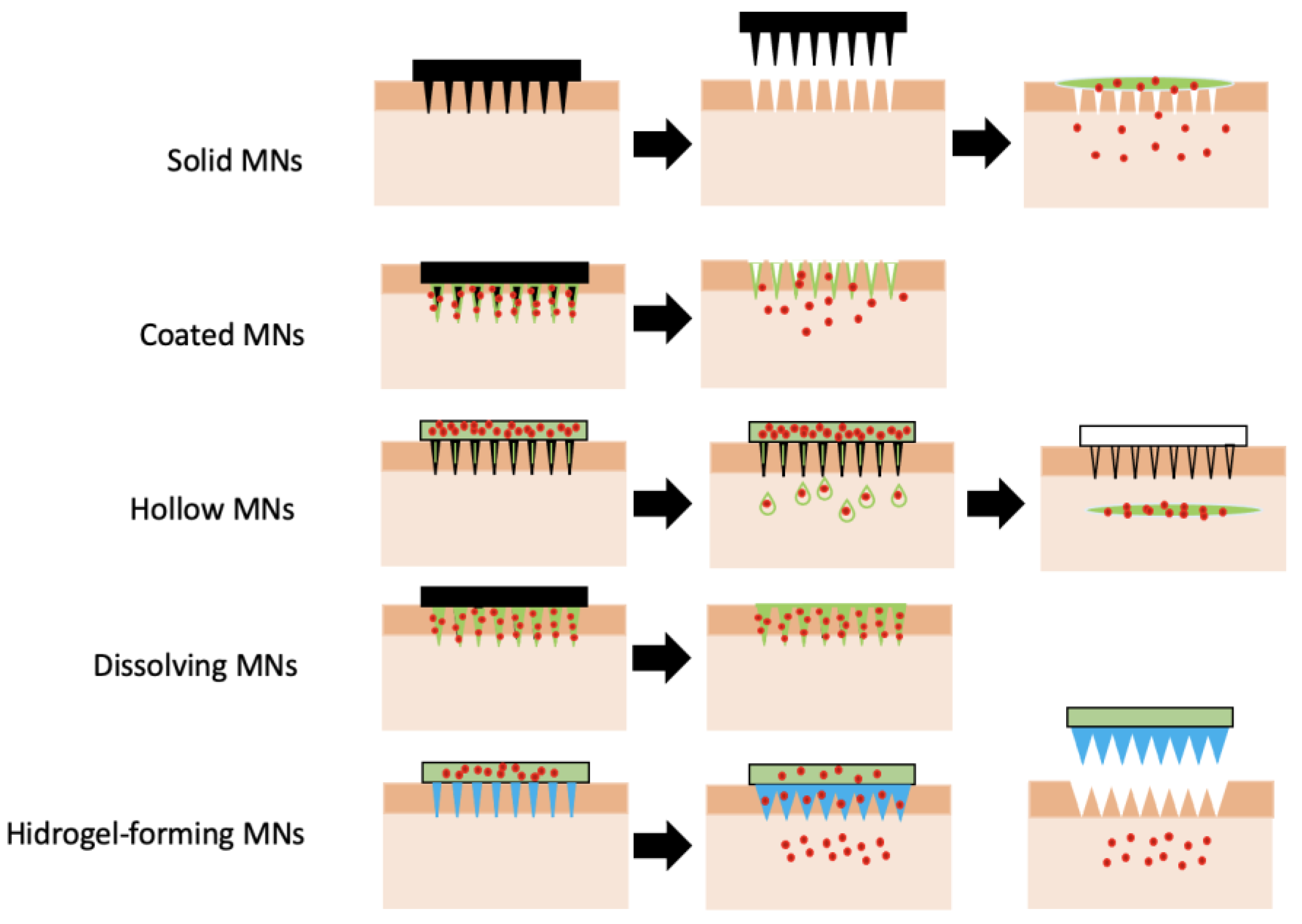 Pharmaceutics 15 00012 g005 Pharmaceutics 15 00012 g005