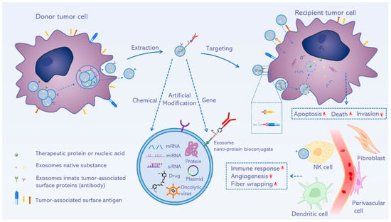 Pharmaceutics | Free Full-Text | The Therapeutic Potential and Clinical ...