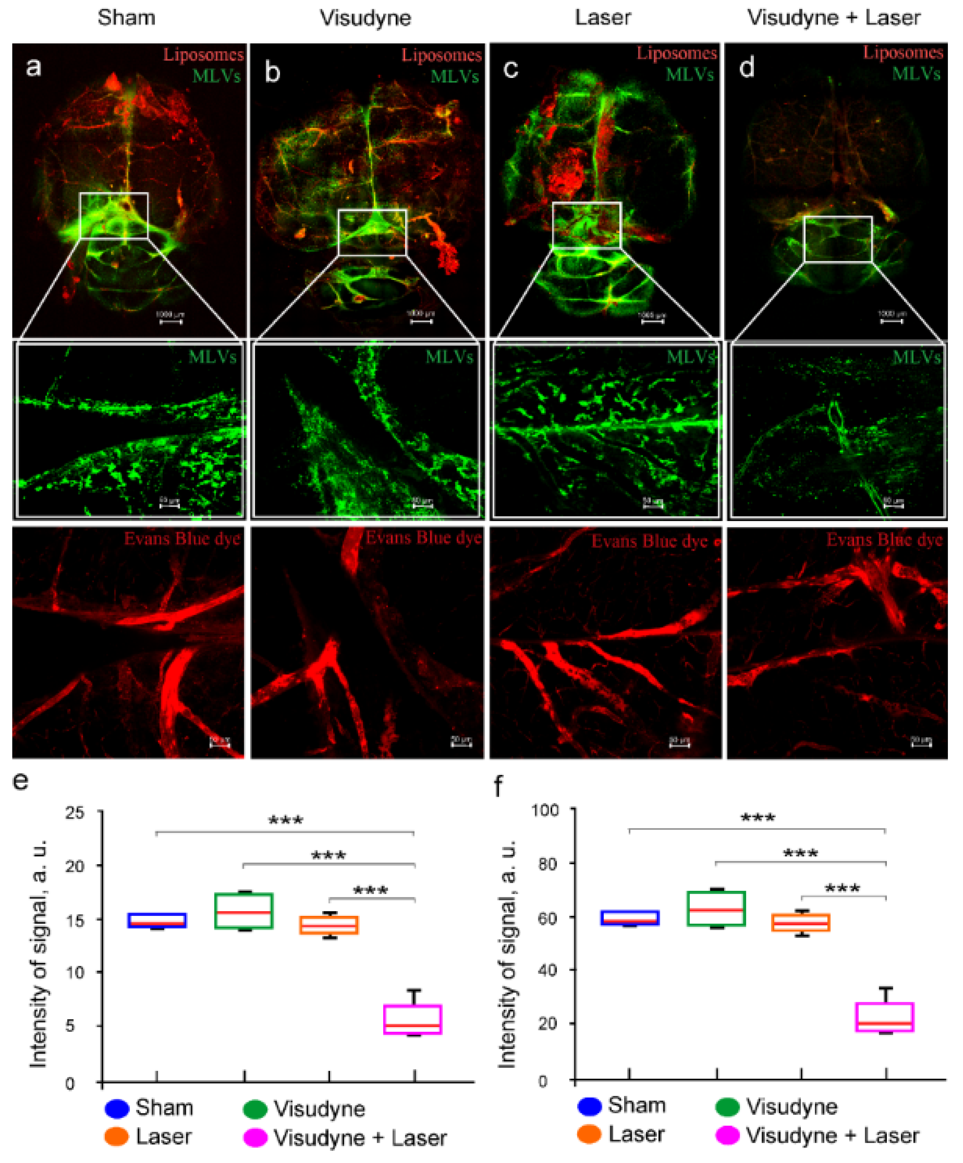 Pharmaceutics 15 00036 g002 Pharmaceutics 15 00036 g002