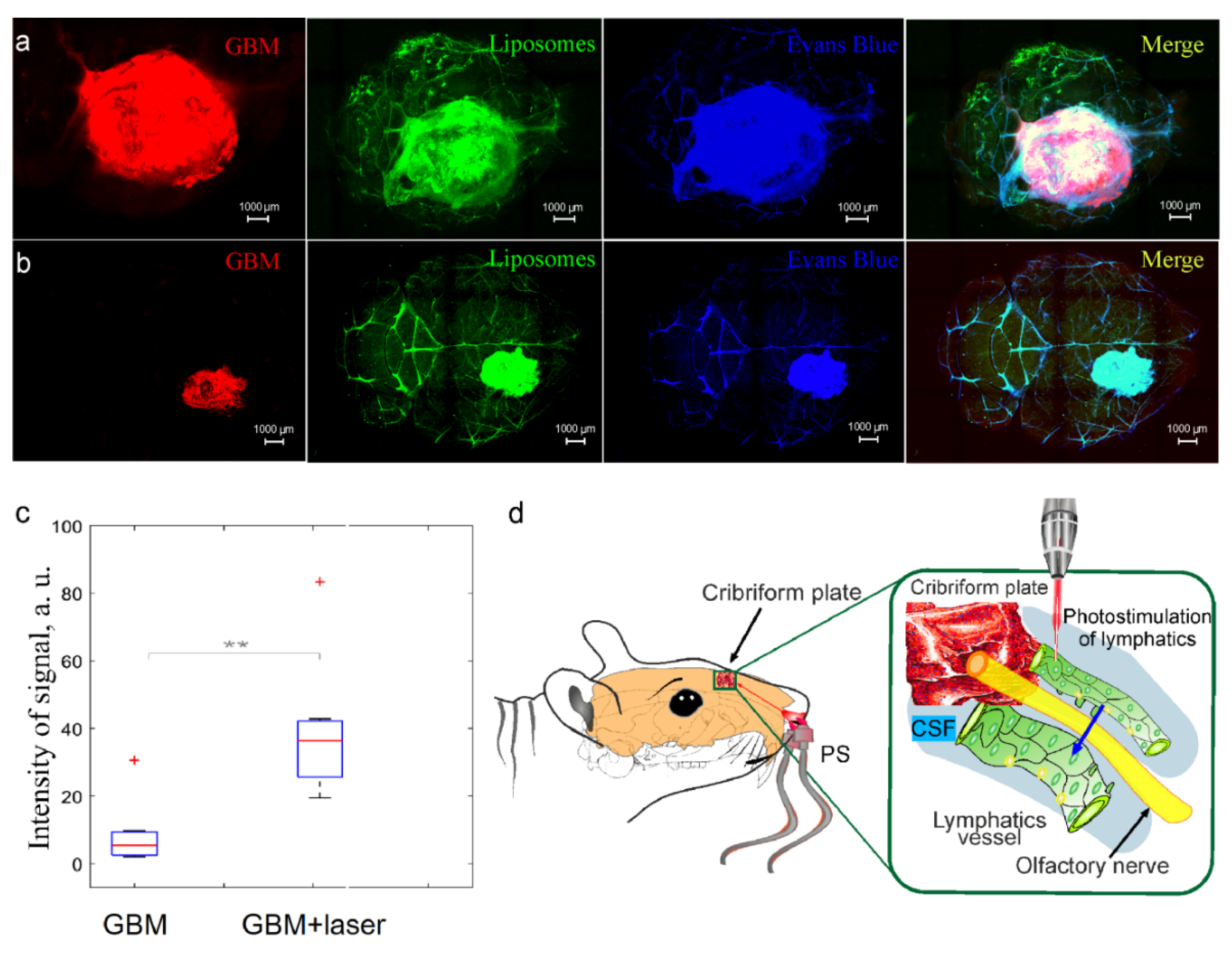 Pharmaceutics 15 00036 g004 Pharmaceutics 15 00036 g004