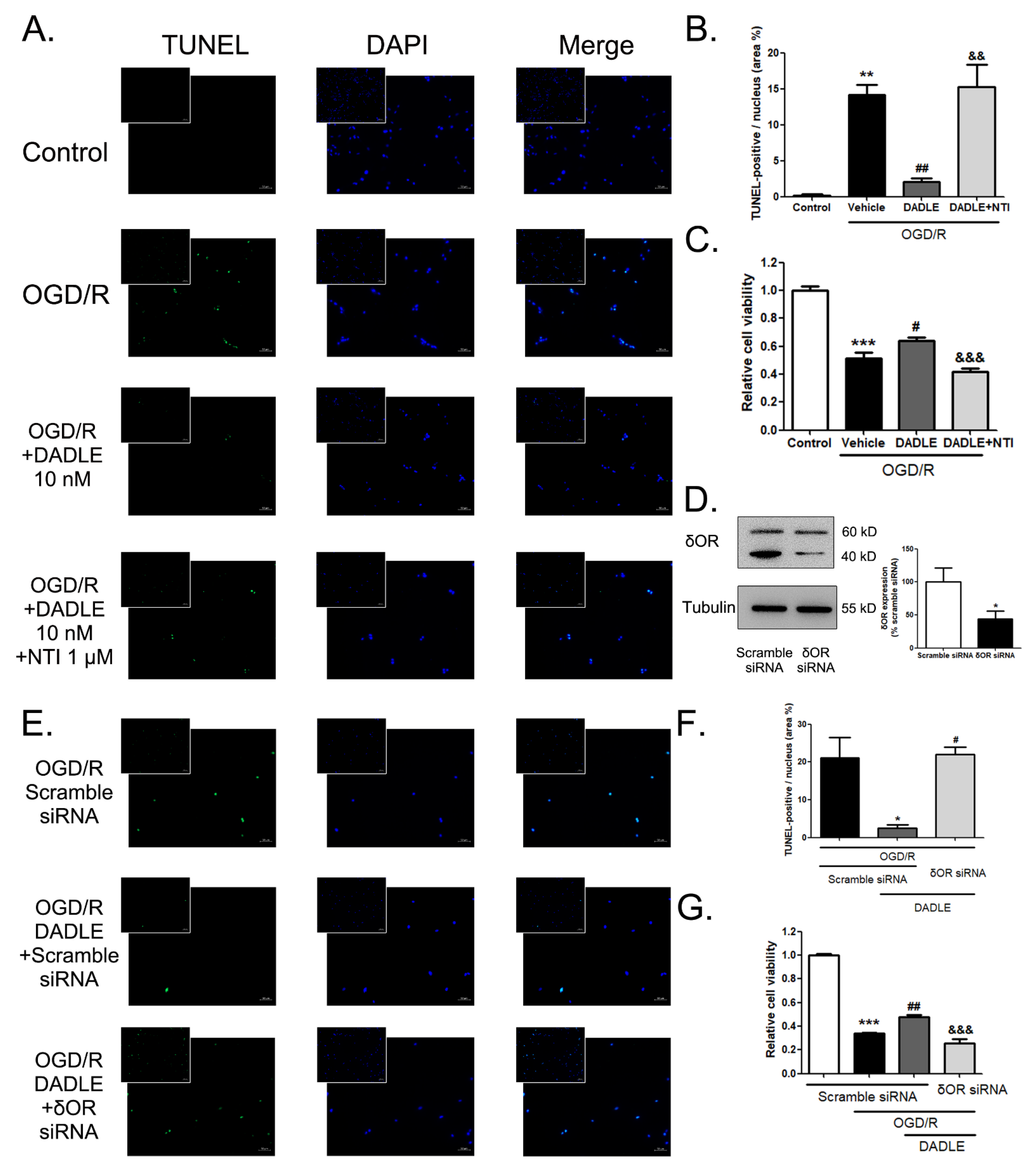 Pharmaceutics 15 00046 g005