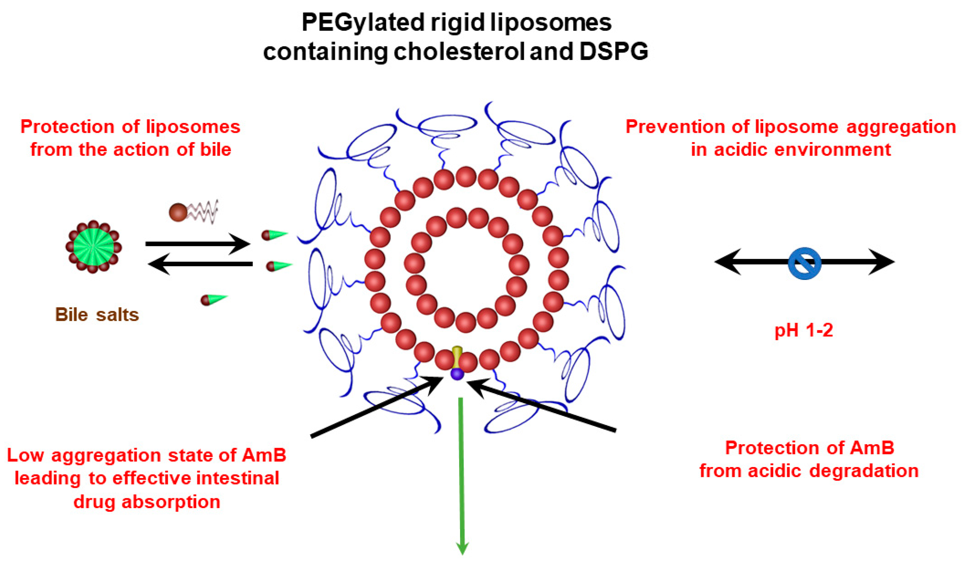 Pharmaceutics | Free Full-Text | Liposomal Amphotericin B For Treatment ...