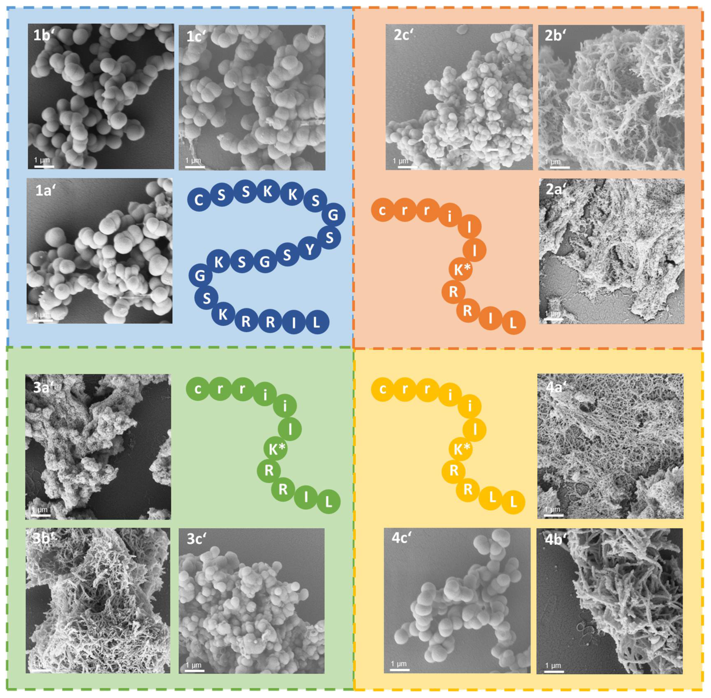 Pharmaceutics 15 00121 g005