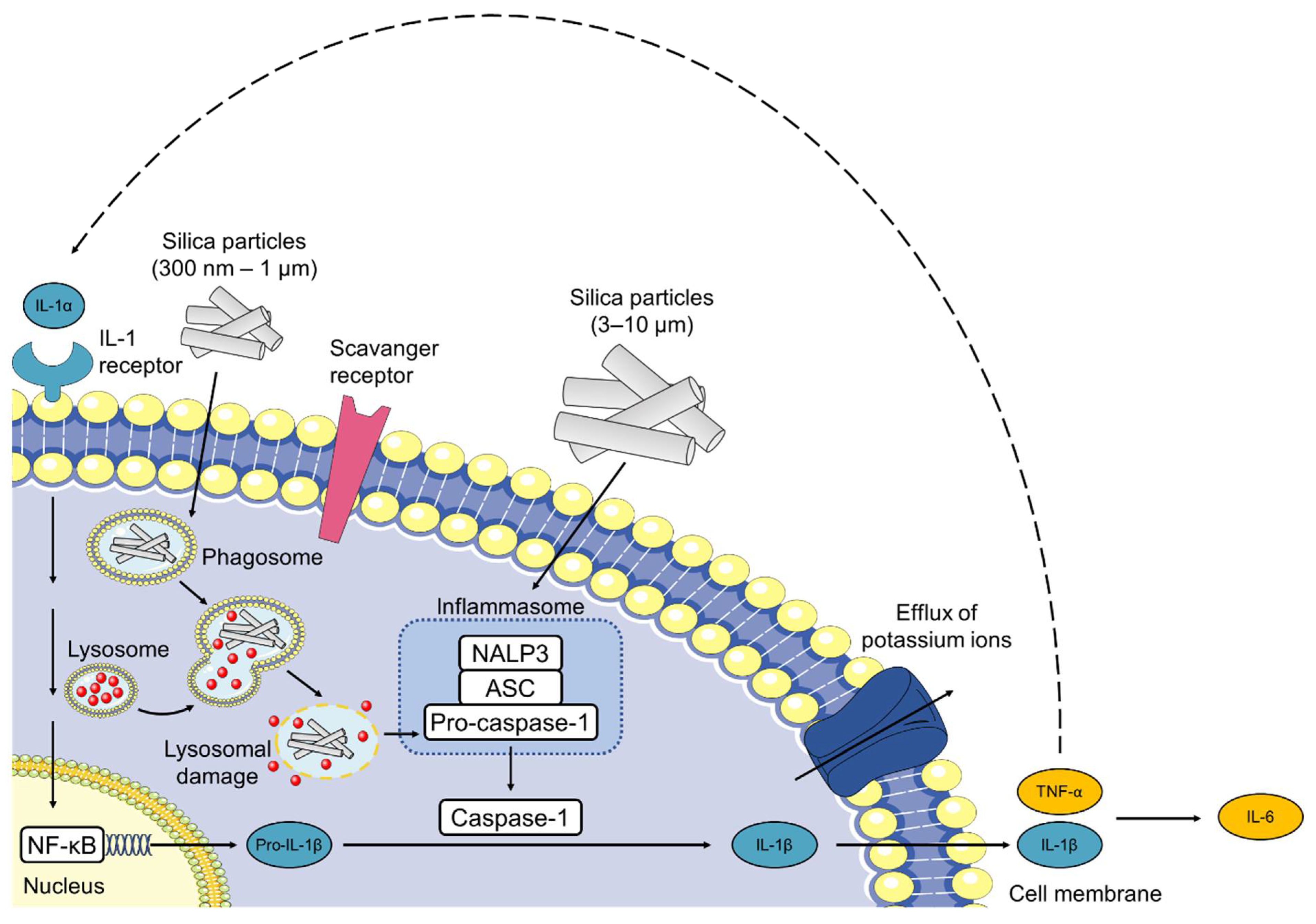 Pharmaceutics 15 00121 g009