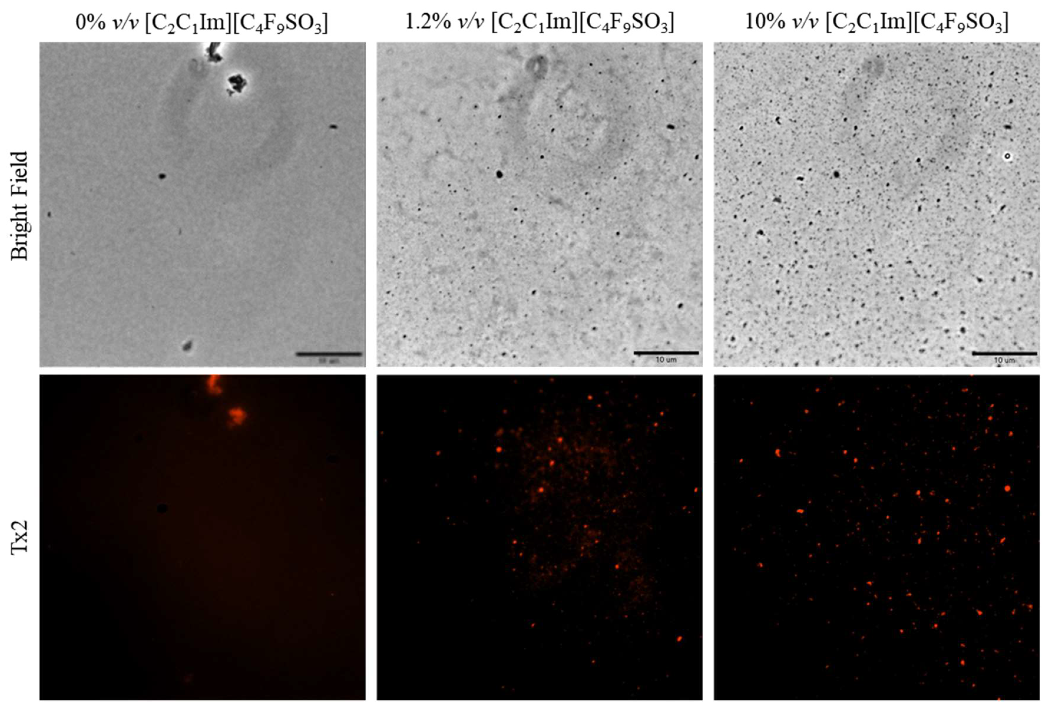 Pharmaceutics 15 00157 g014