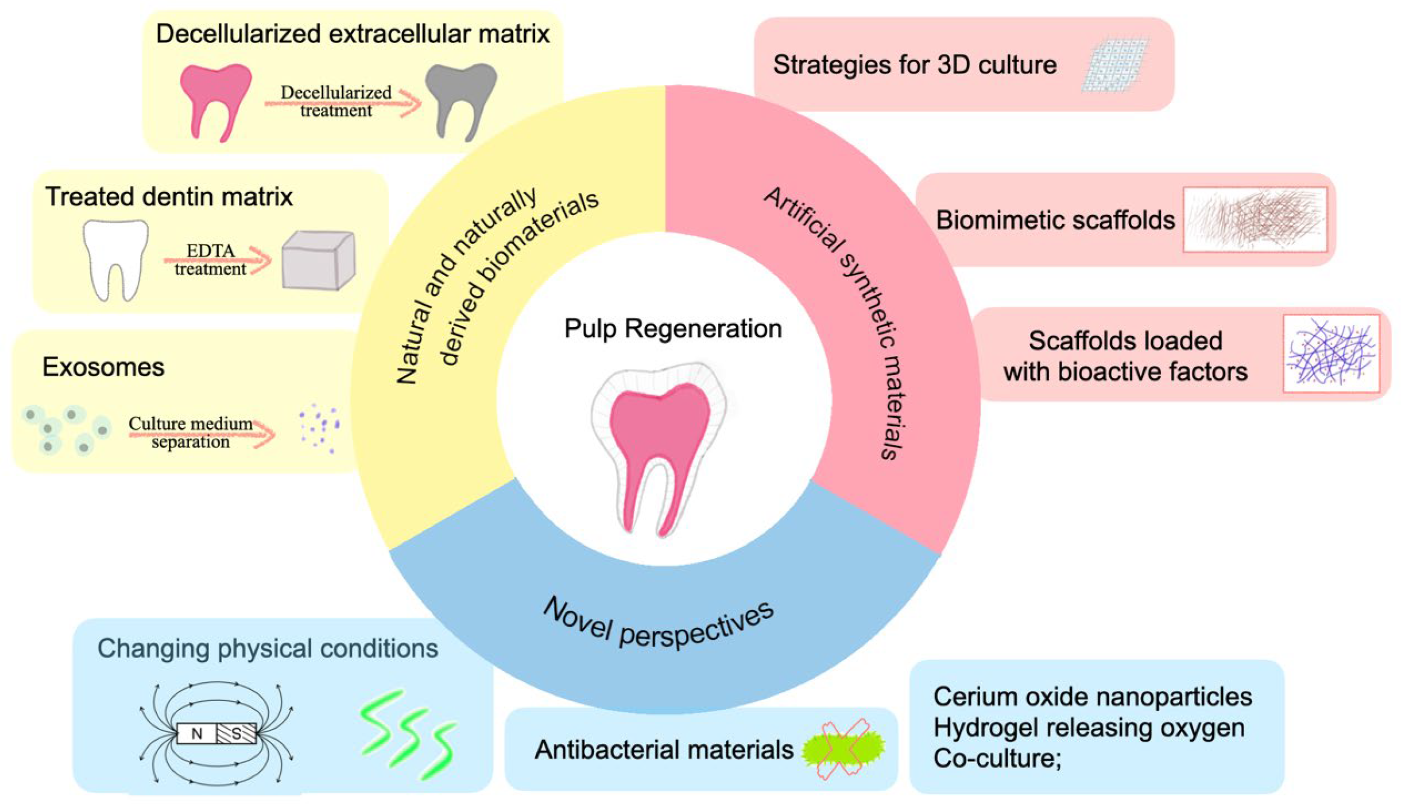 Pharmaceutics 15 00158 g002