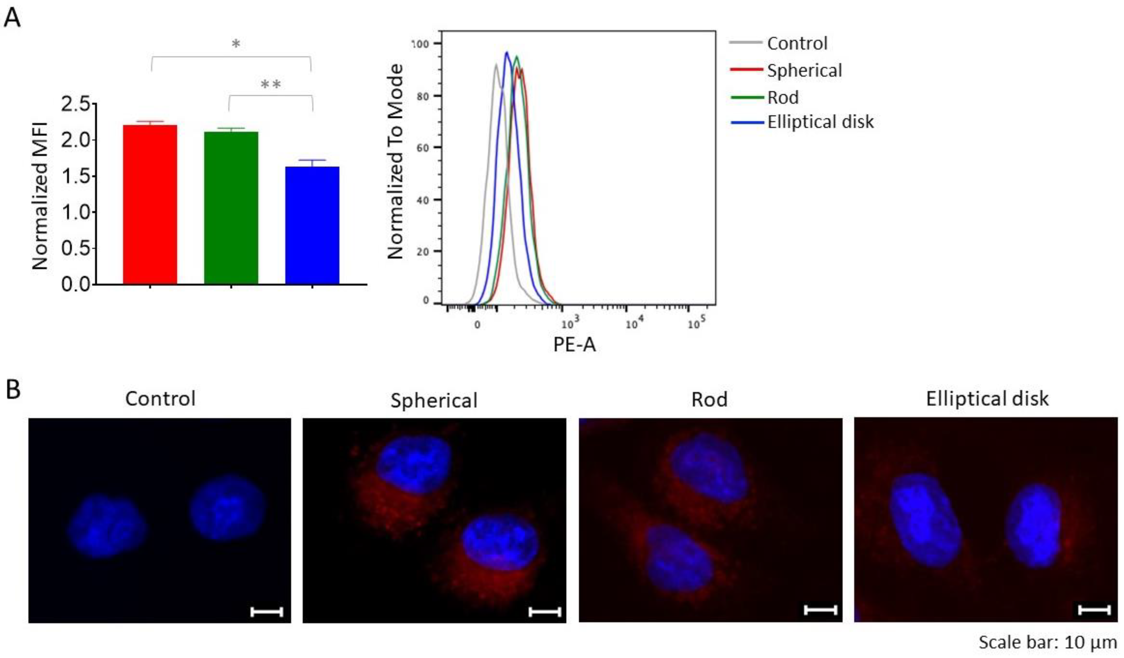 Pharmaceutics 15 00175 g006
