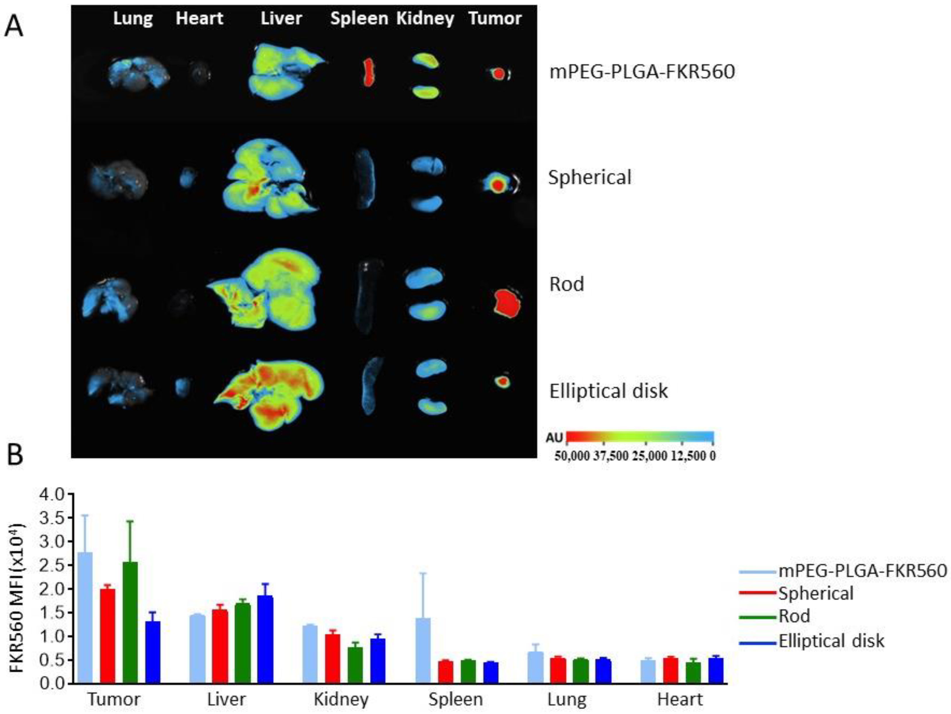 Pharmaceutics 15 00175 g007