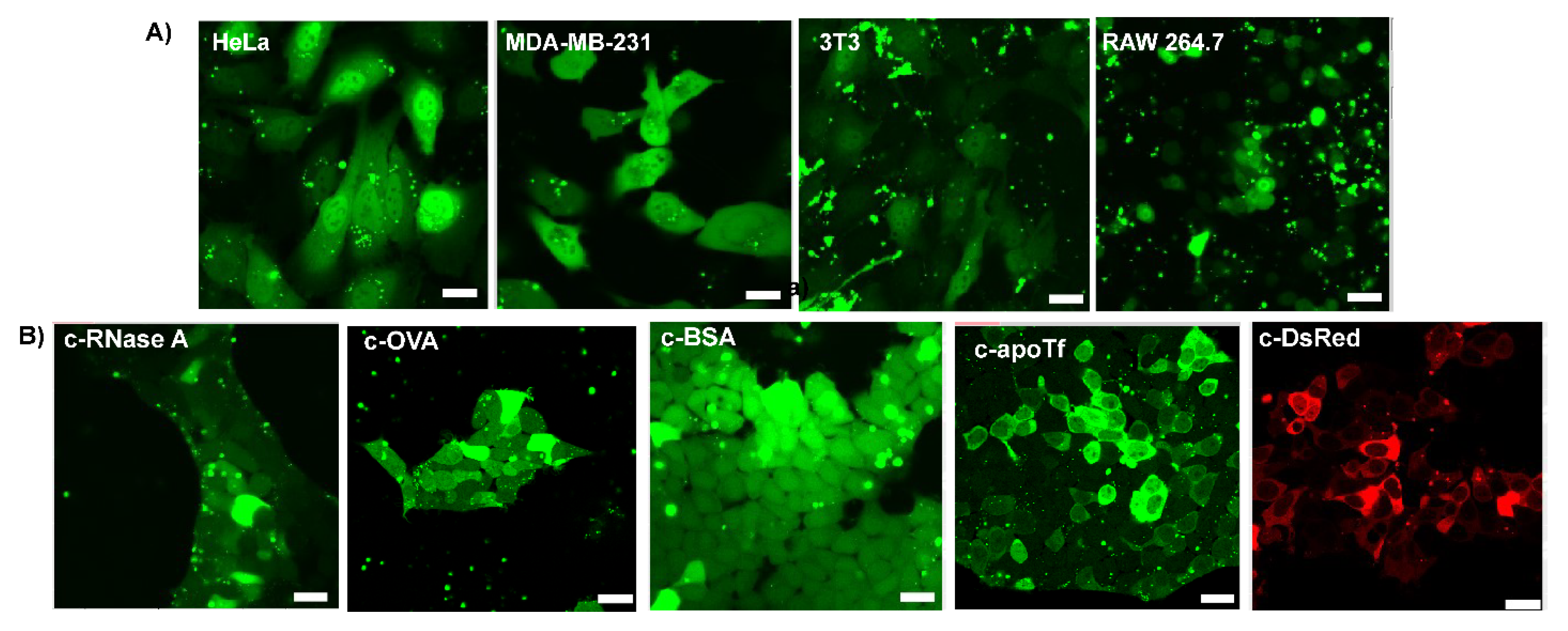 Pharmaceutics 15 00218 g003