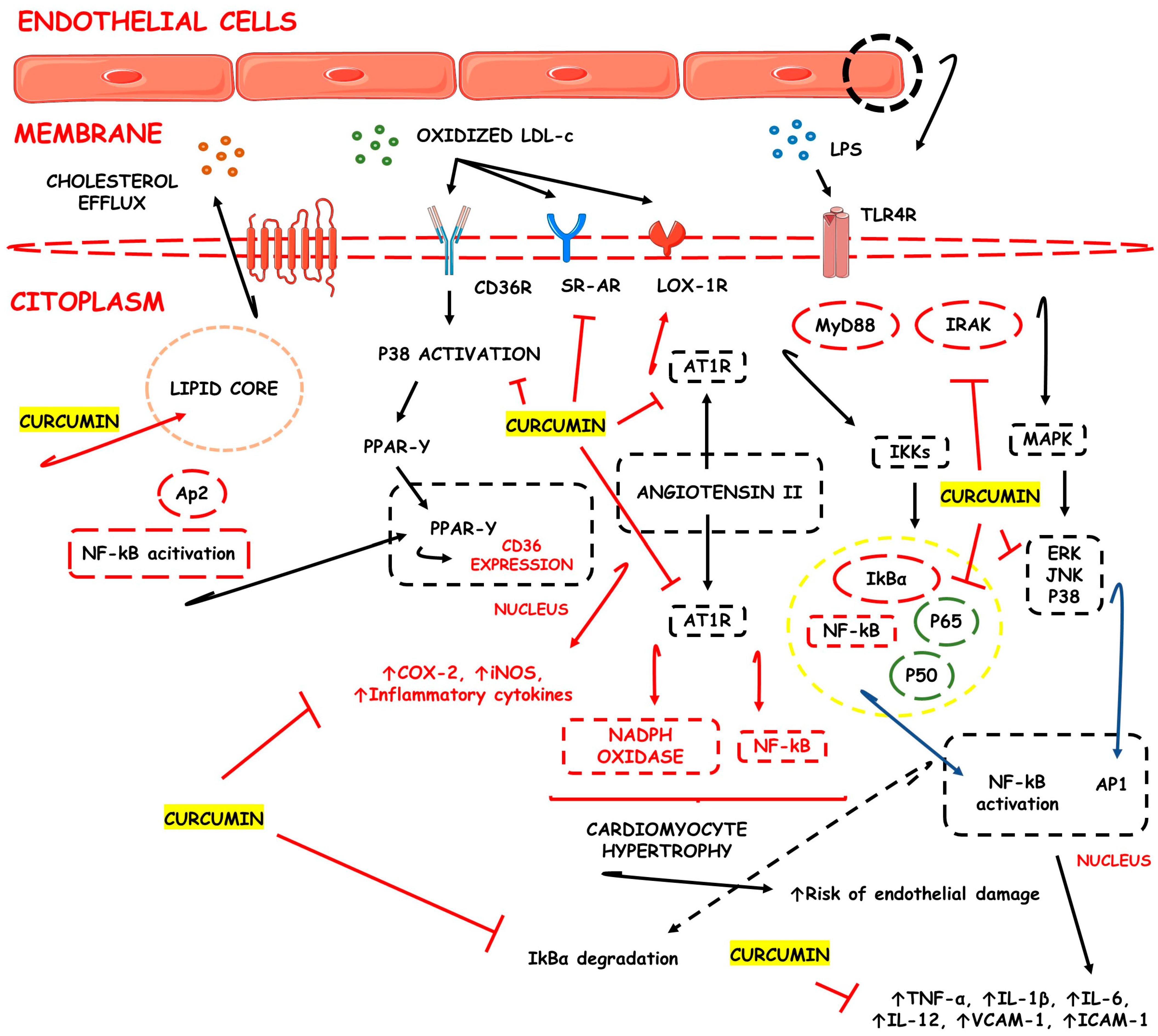 Pharmaceutics 15 00229 g001 Pharmaceutics 15 00229 g001