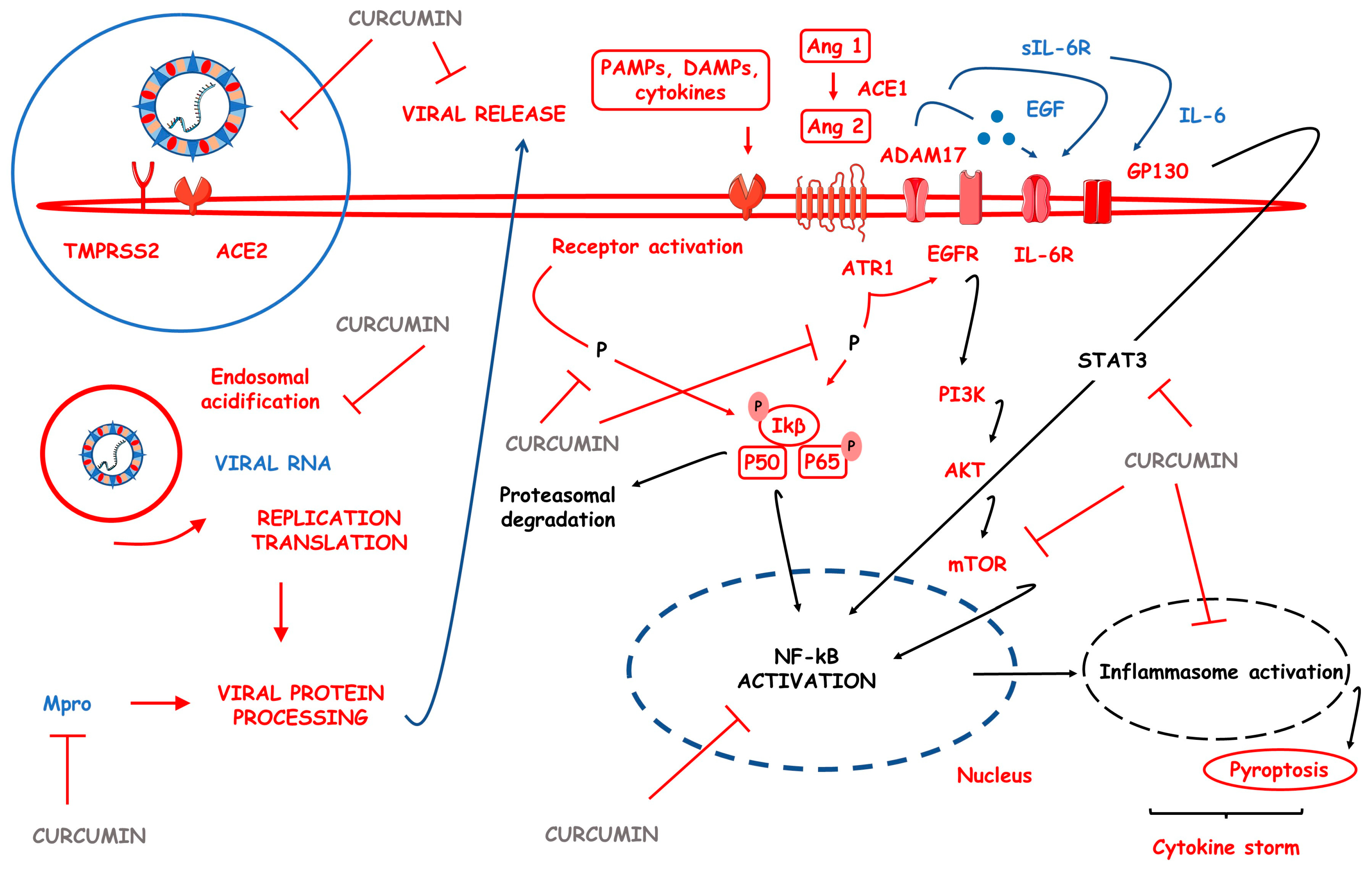 Pharmaceutics 15 00229 g003 Pharmaceutics 15 00229 g003