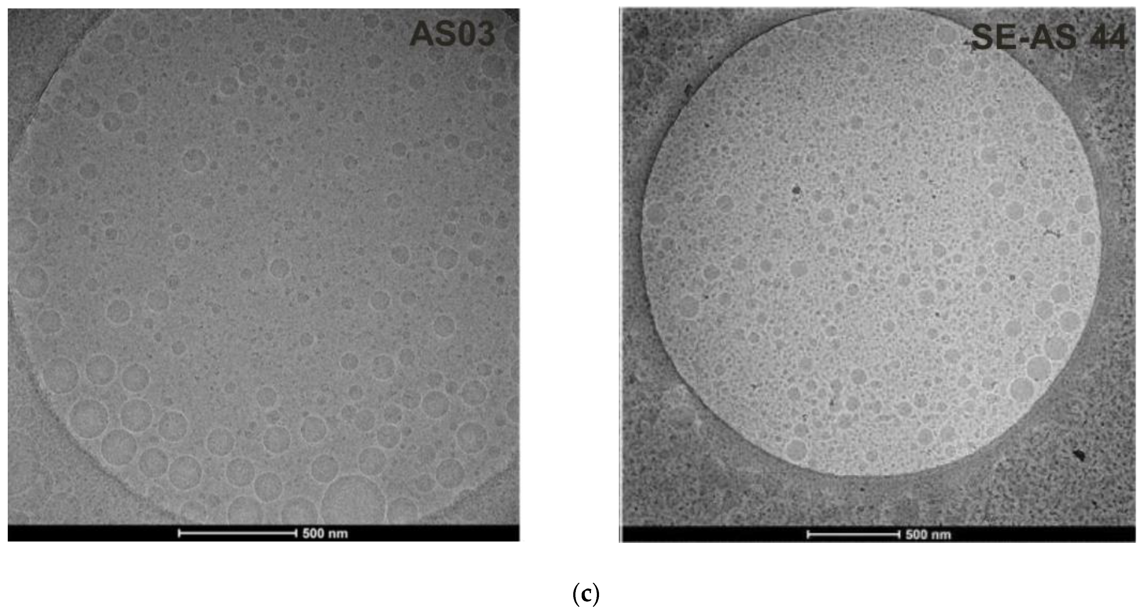 Pharmaceutics 15 00238 g001b Pharmaceutics 15 00238 g001b