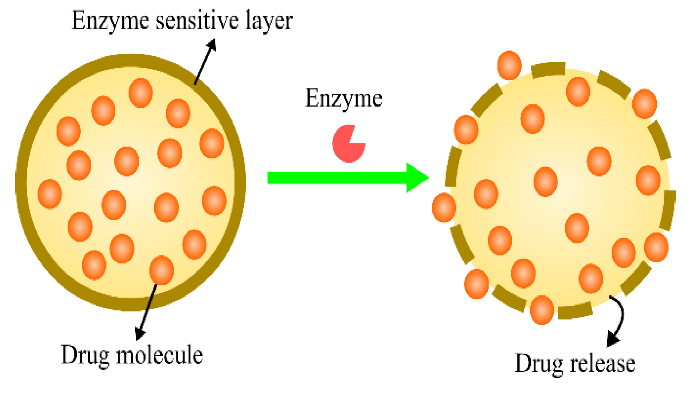 Pharmaceutics 15 00246 g005 Pharmaceutics 15 00246 g005