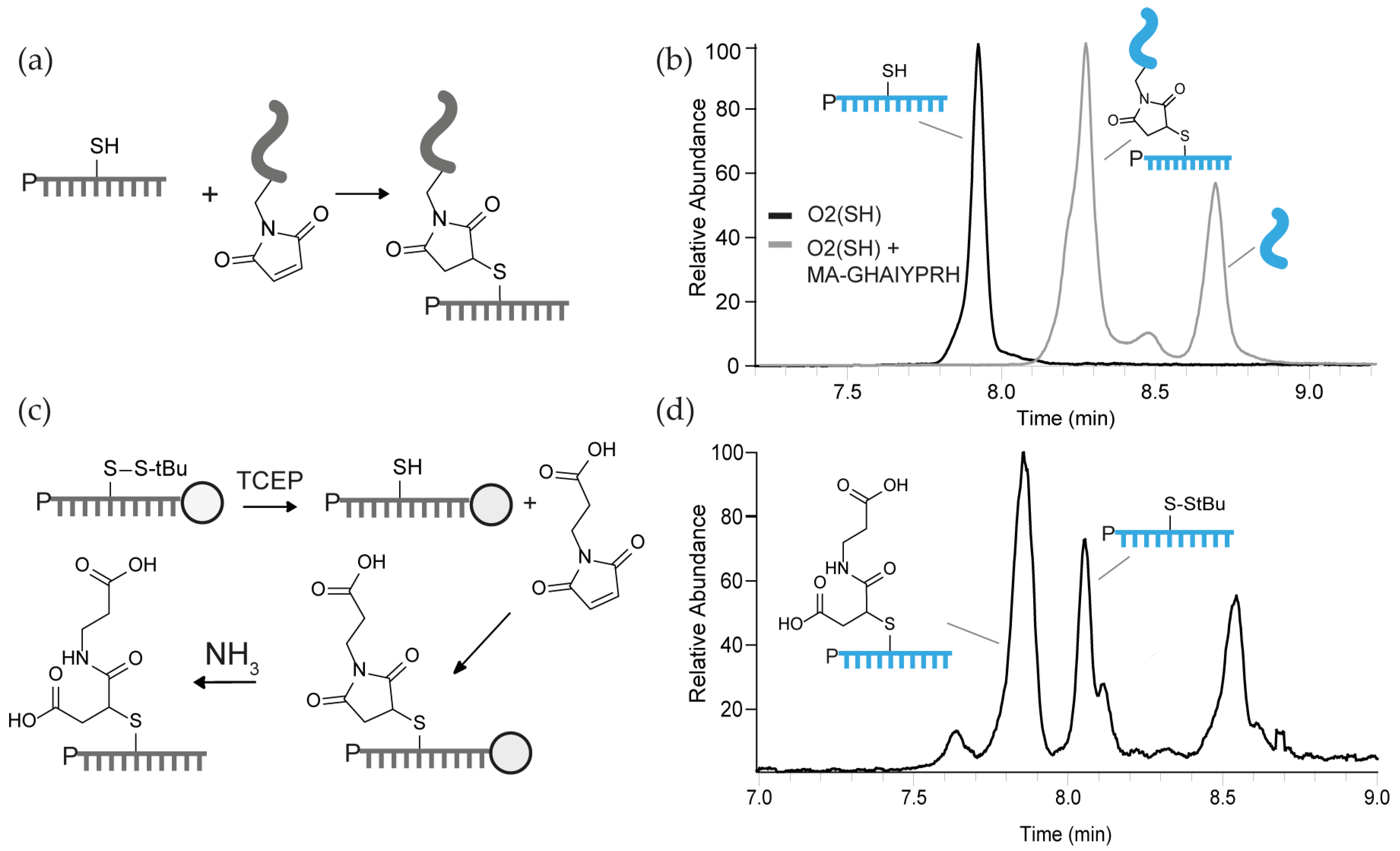 Pharmaceutics 15 00248 g003 Pharmaceutics 15 00248 g003
