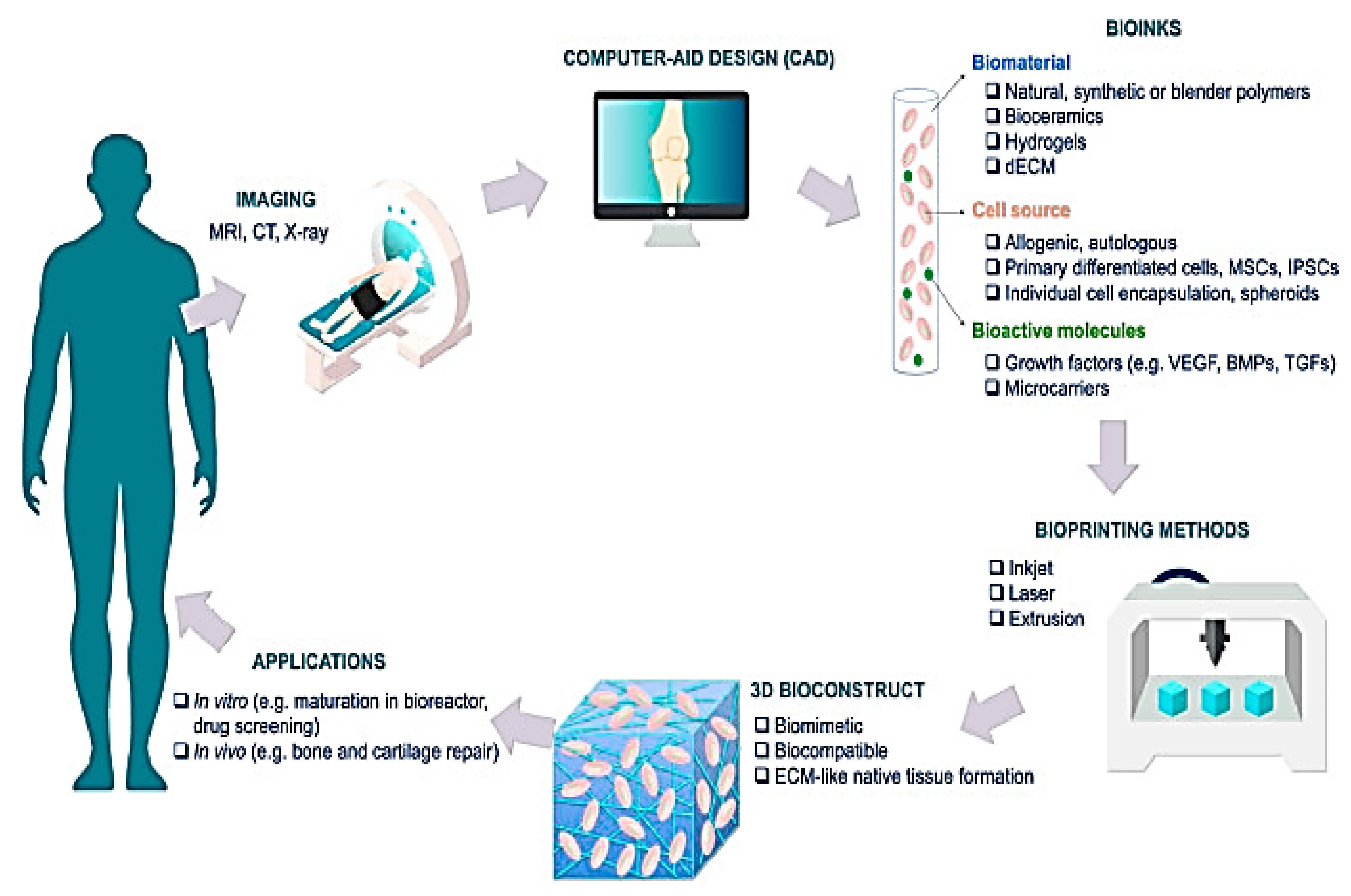 Pharmaceutics 15 00255 g007
